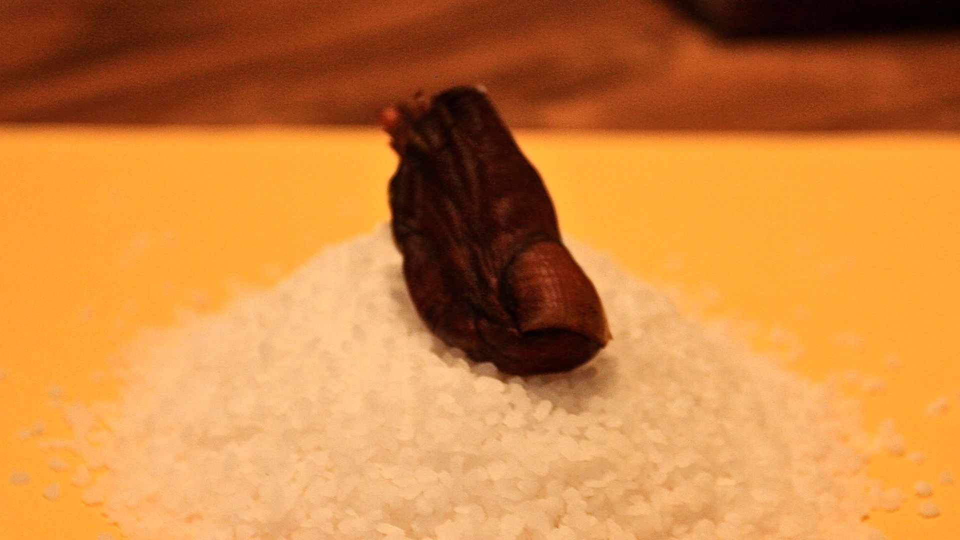 File:Sourtoe Cocktail Preparation - Downtown Hotel, Dawson City, Yukon Territory (12448567845).jpg