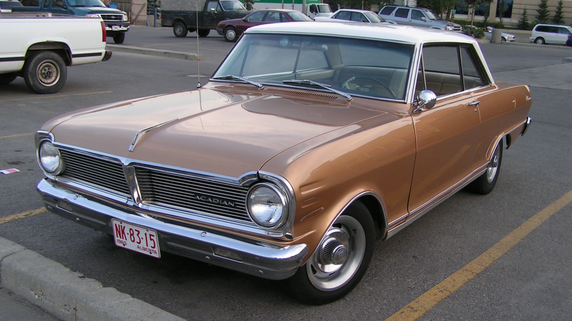 File:1965 Acadian Canso (849308840).jpg