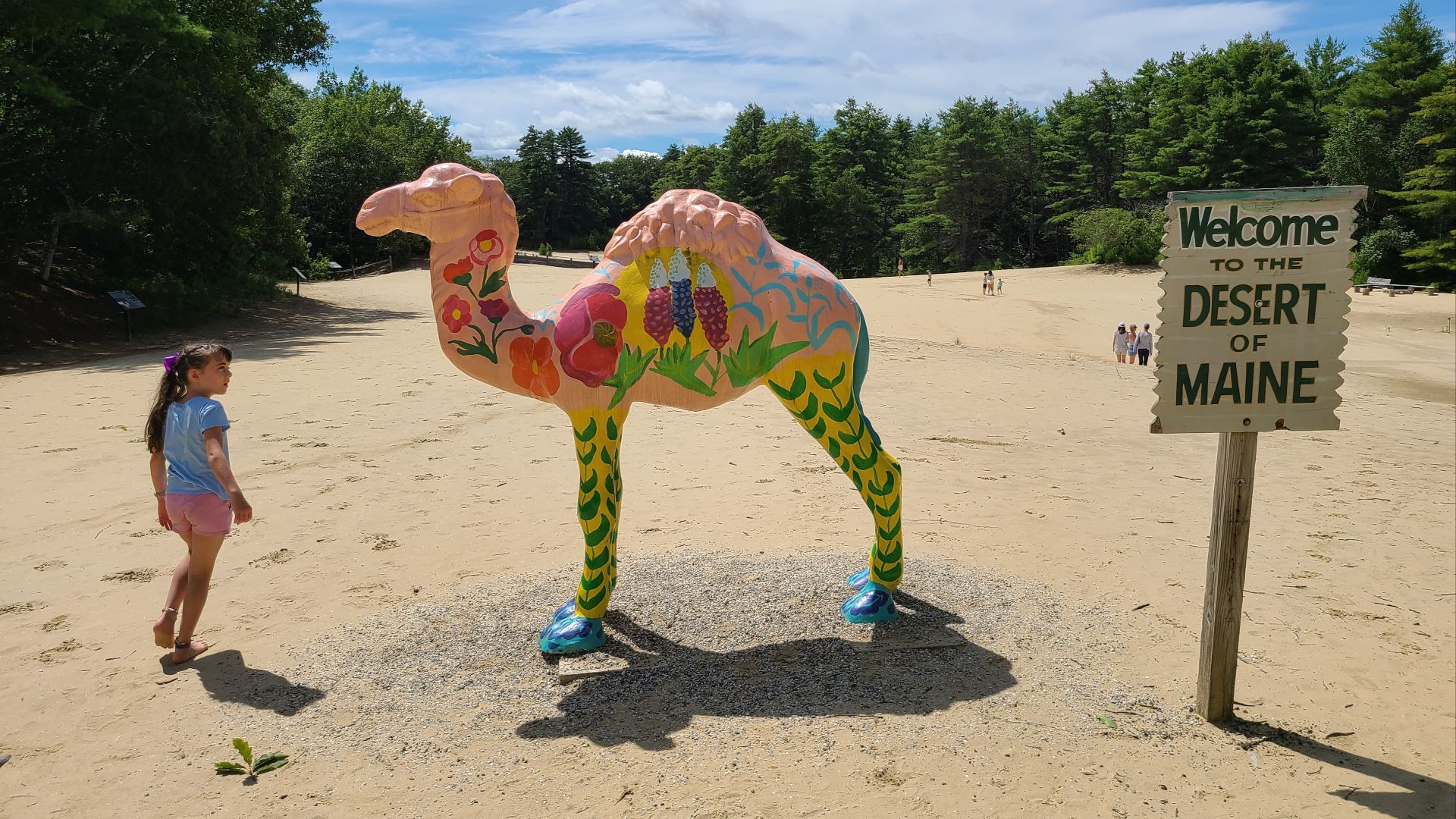 File:Desert of Maine - camel.jpg