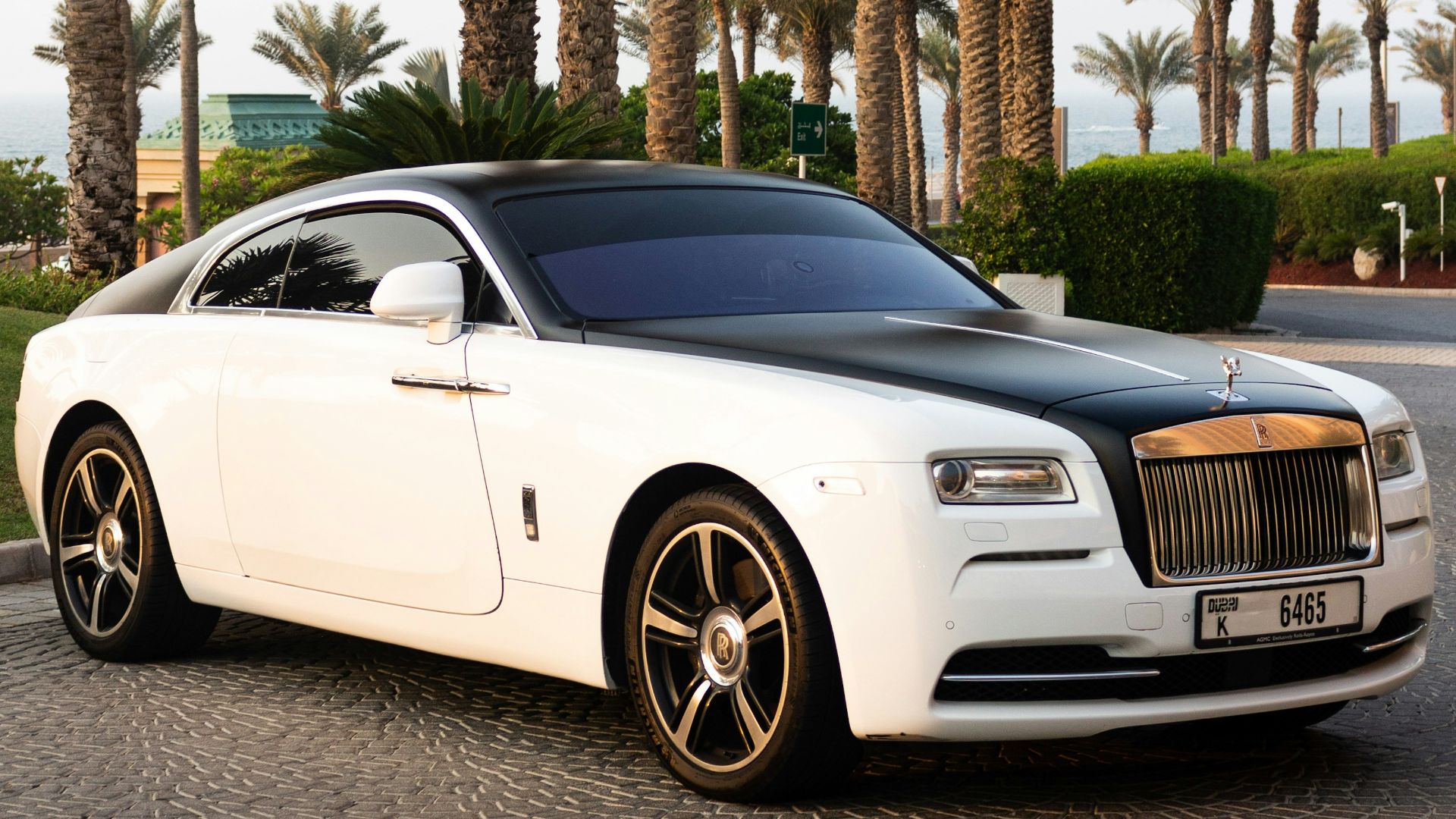 black bmw coupe parked near palm trees during daytime