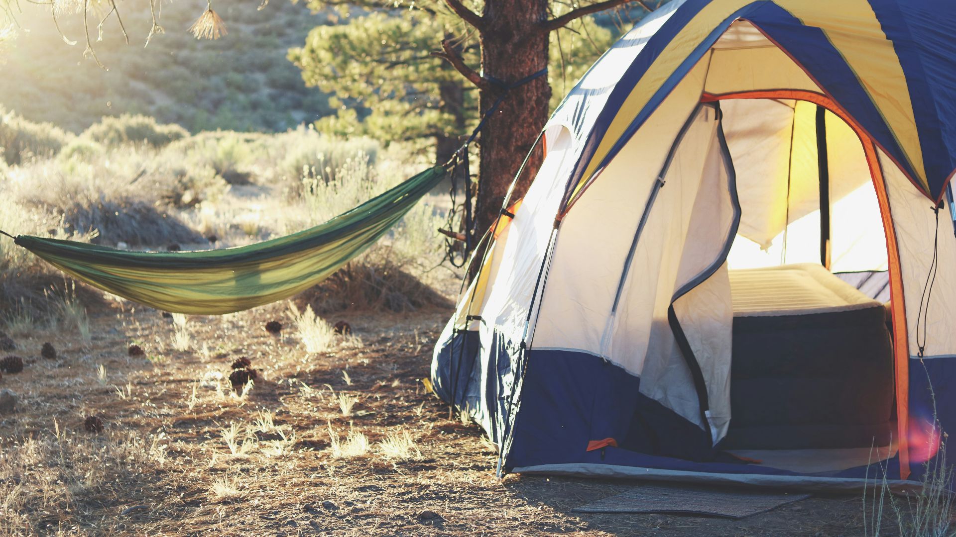 white, yellow, and blue dome tent near green hammock