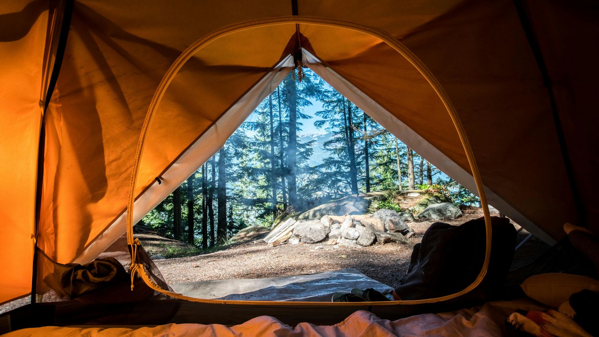 orange camping tent near green trees