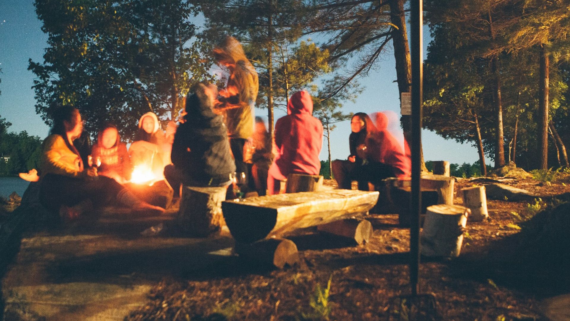 group of people near bonfire near trees during nighttime