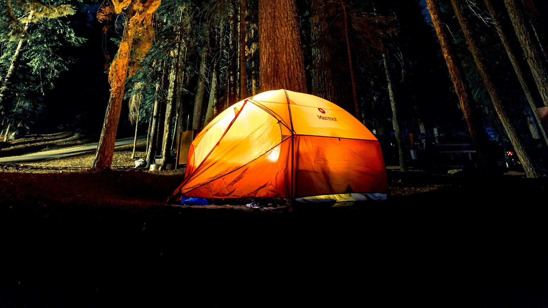 camping in forest during nightime