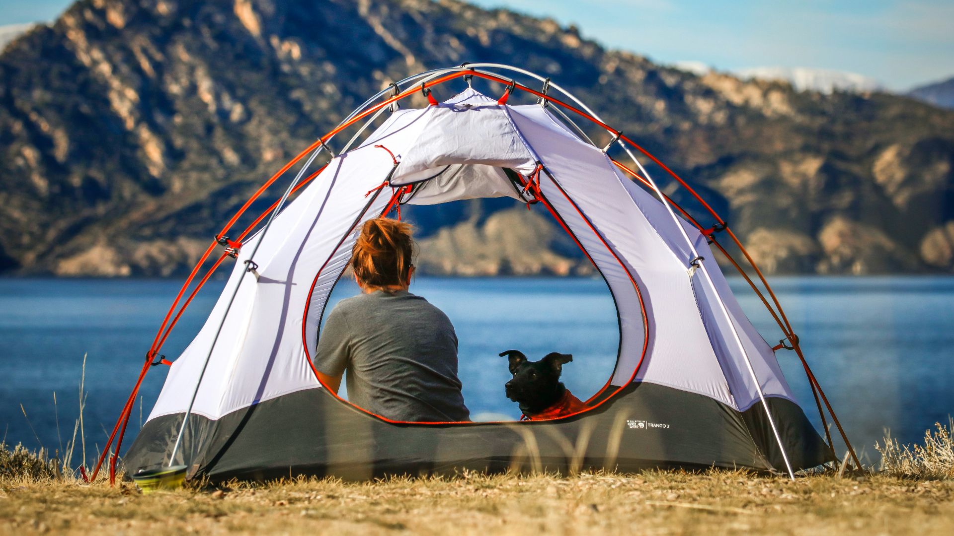 woman and a dog inside outdoor tent near body of water