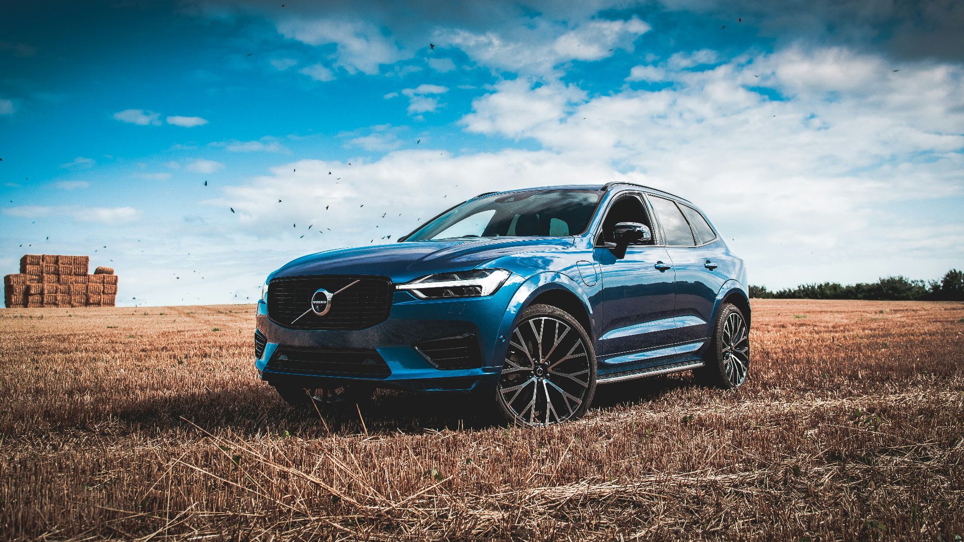 blue bmw m 3 coupe on brown field under blue and white sunny cloudy sky during