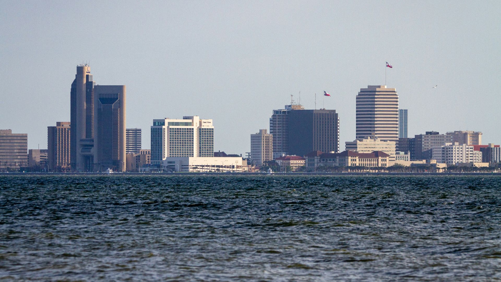 a large body of water with a city in the background