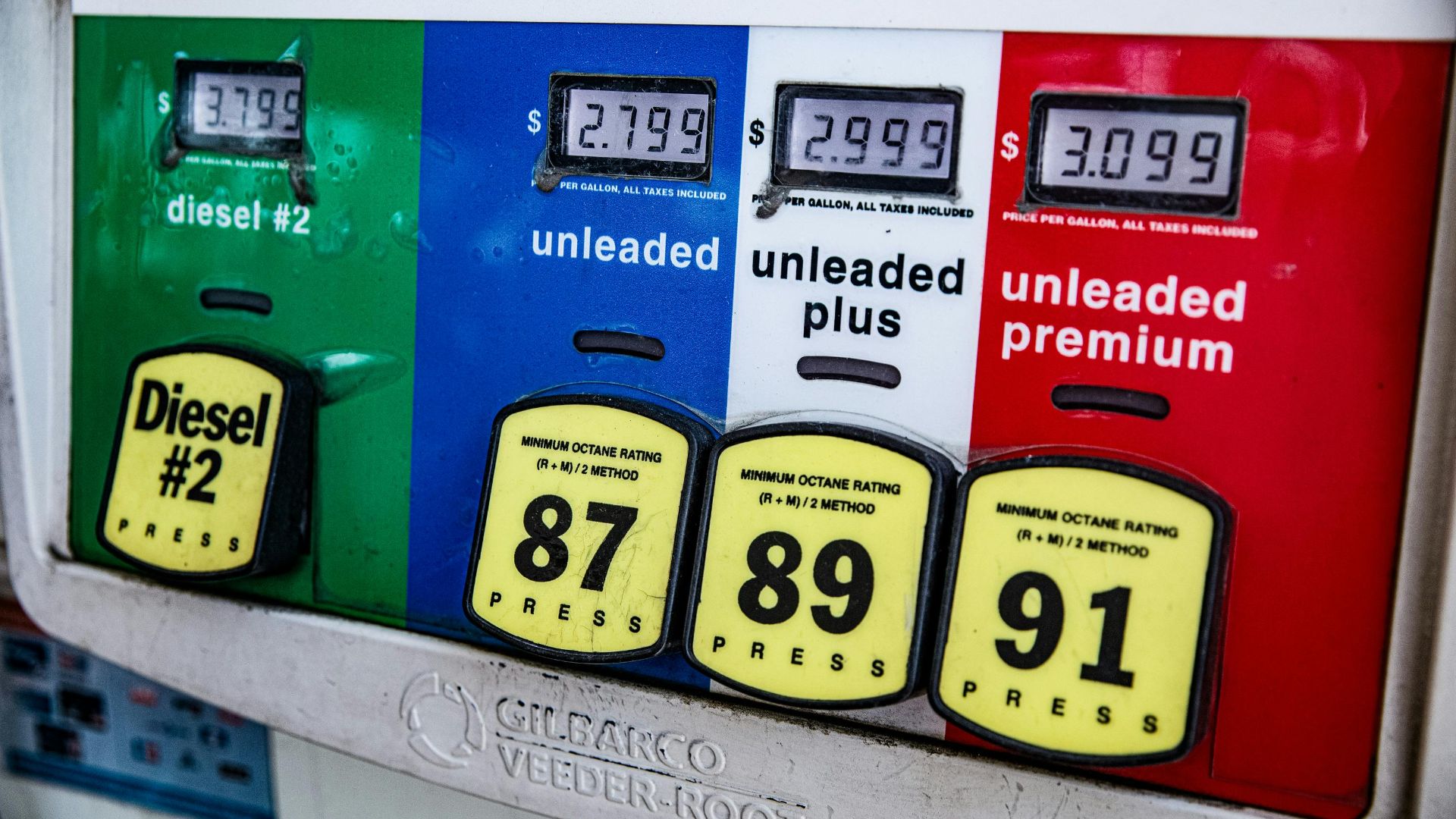 Ekaterina Belinskaya