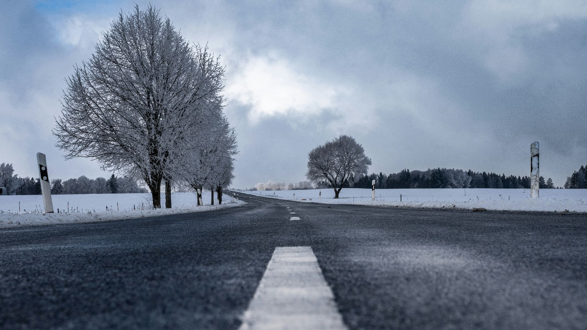 a snowy road with trees on both sides