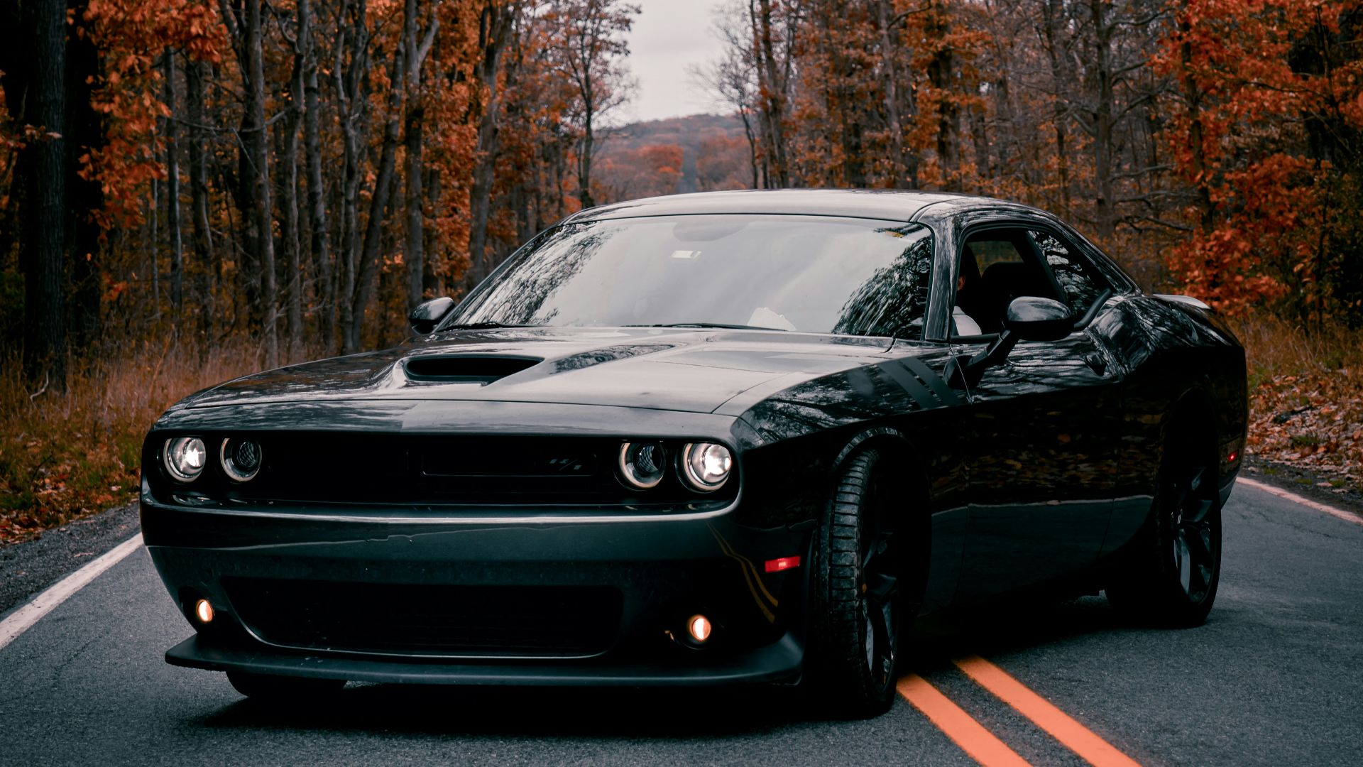 black porsche 911 on road near trees during daytime