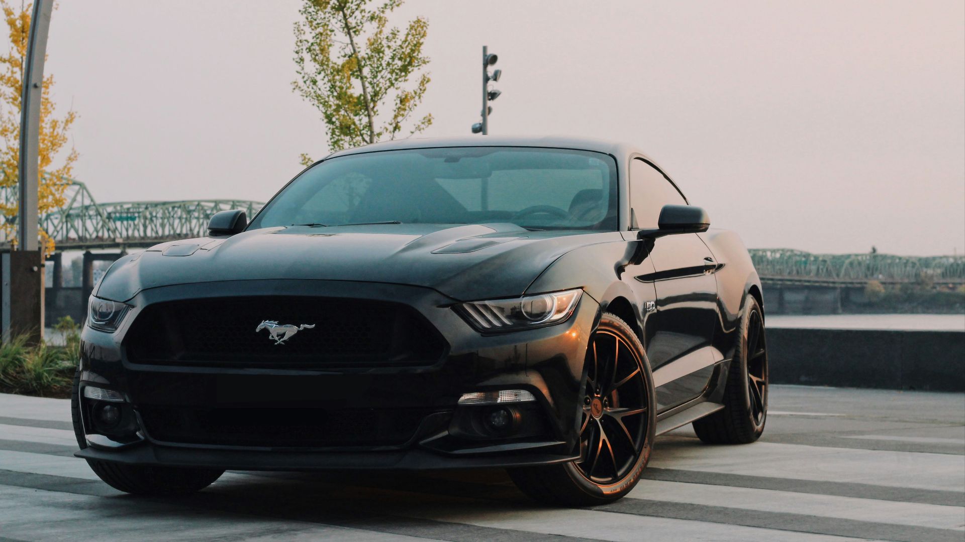 black Ford Mustang coupe parked near green tree