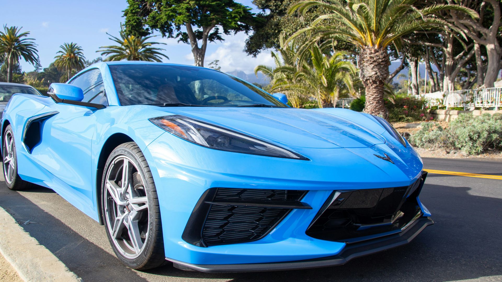 blue ferrari 458 italia parked near palm trees during daytime