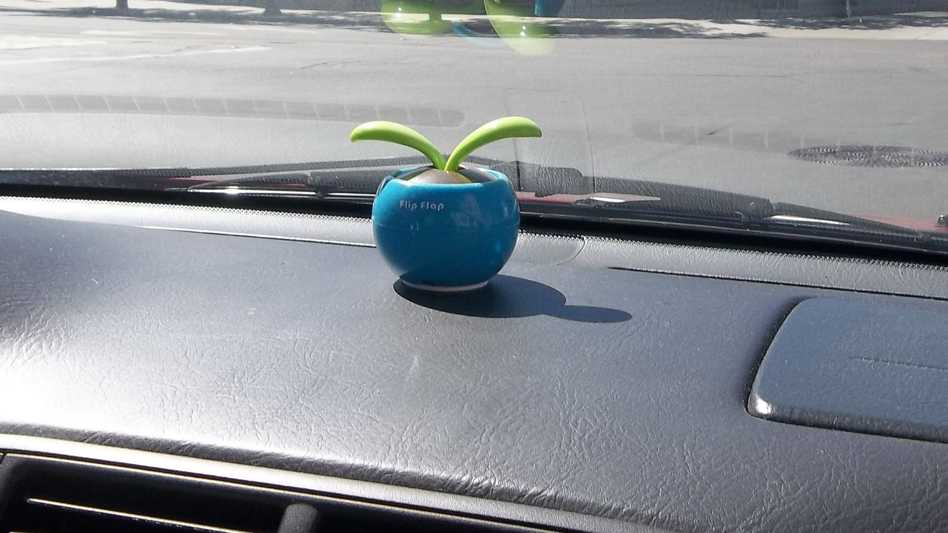 File:Flip Flap in car.JPG