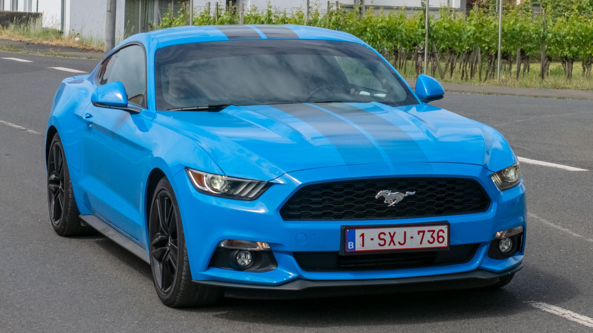 File:Ford GT Mustang P5201092.jpg