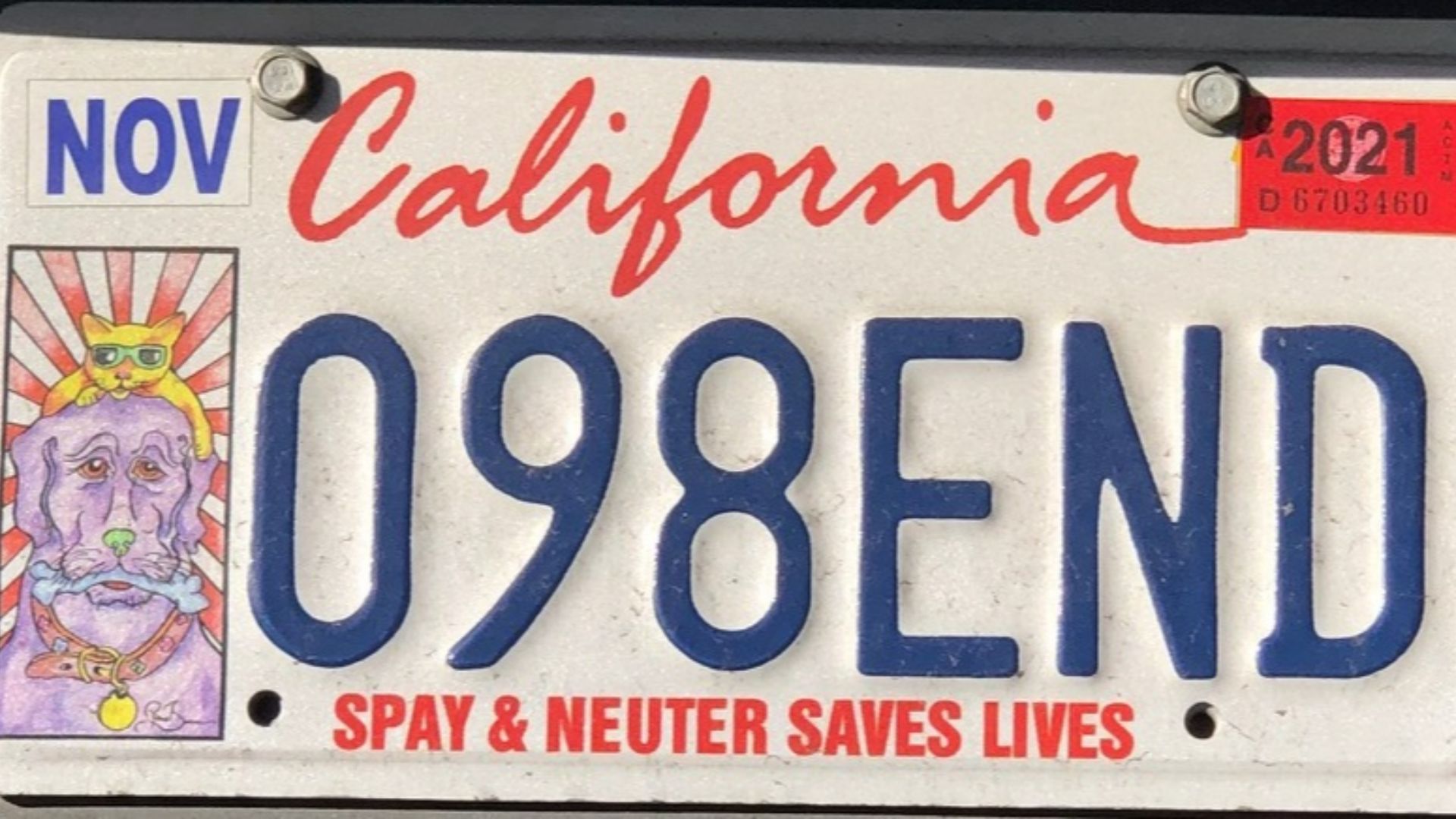 File:California spay & neuter license plate.jpg