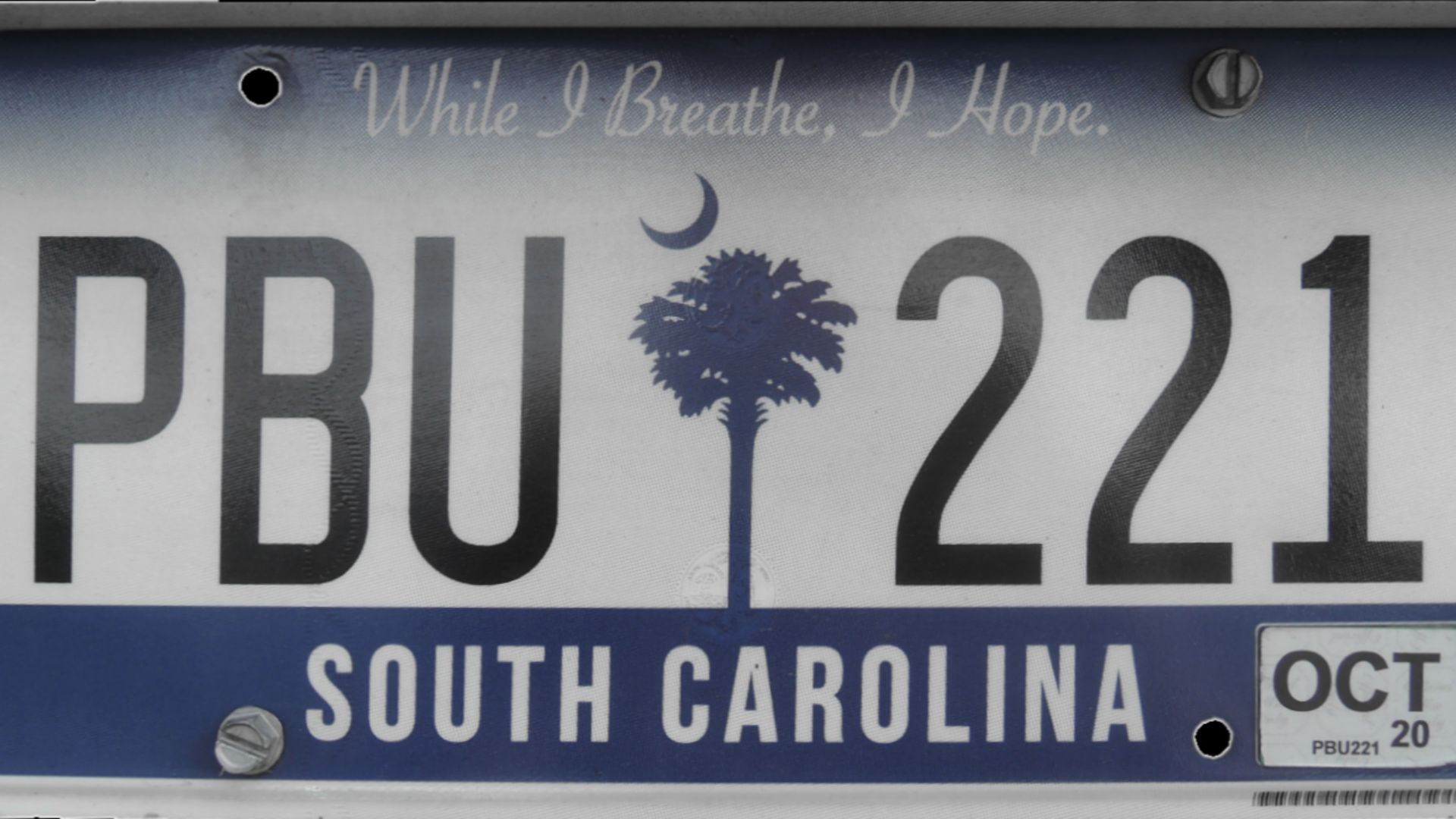 File:2020 South Carolina passenger car rear license plate.png