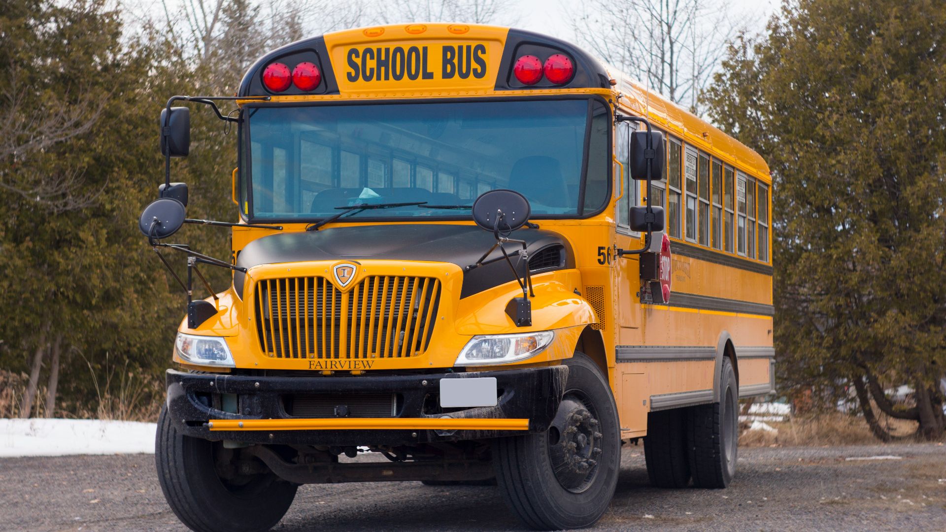yellow school bus on road