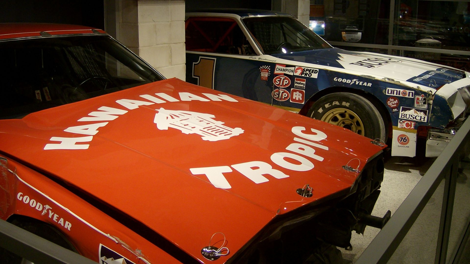 File:Cale Donnie Daytona 500.jpg