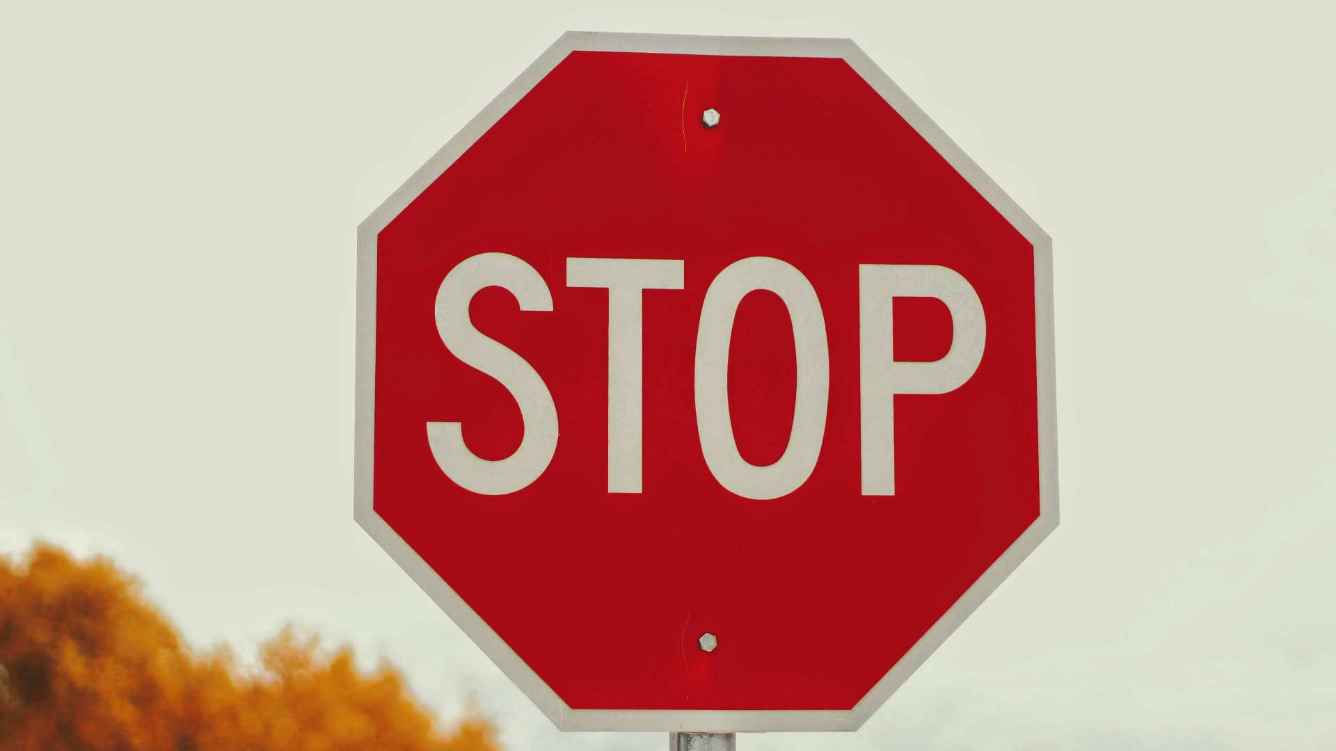 selective-photography of stop signage