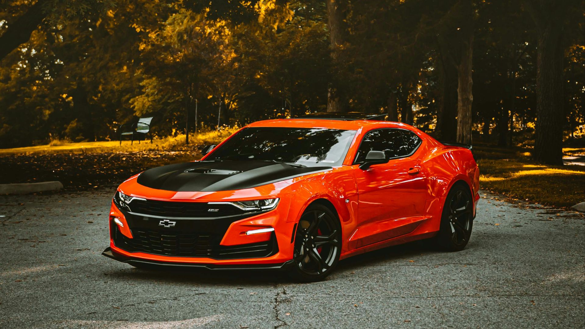 red sedan near trees