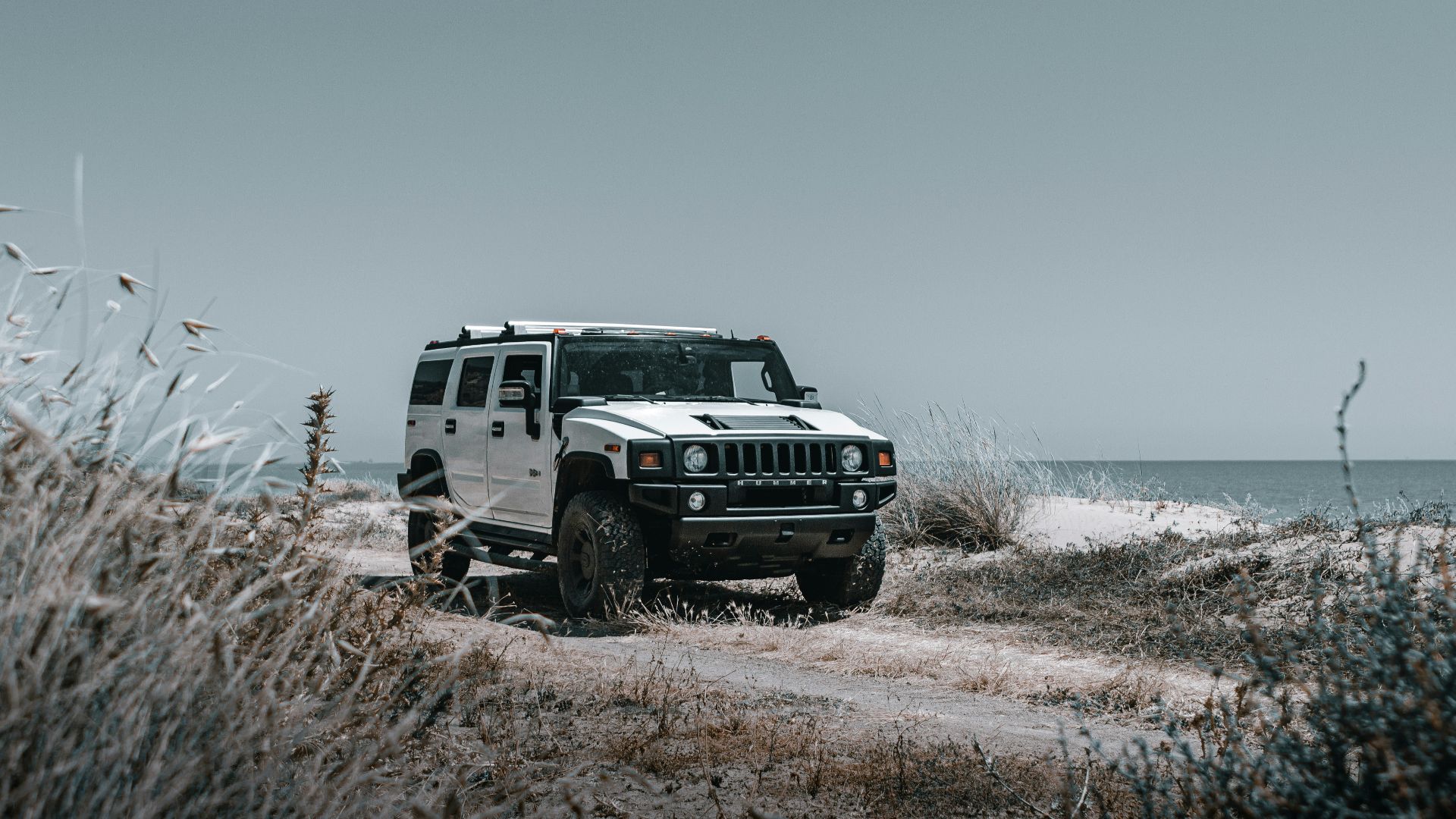 a white jeep driving down a dirt road next to the ocean