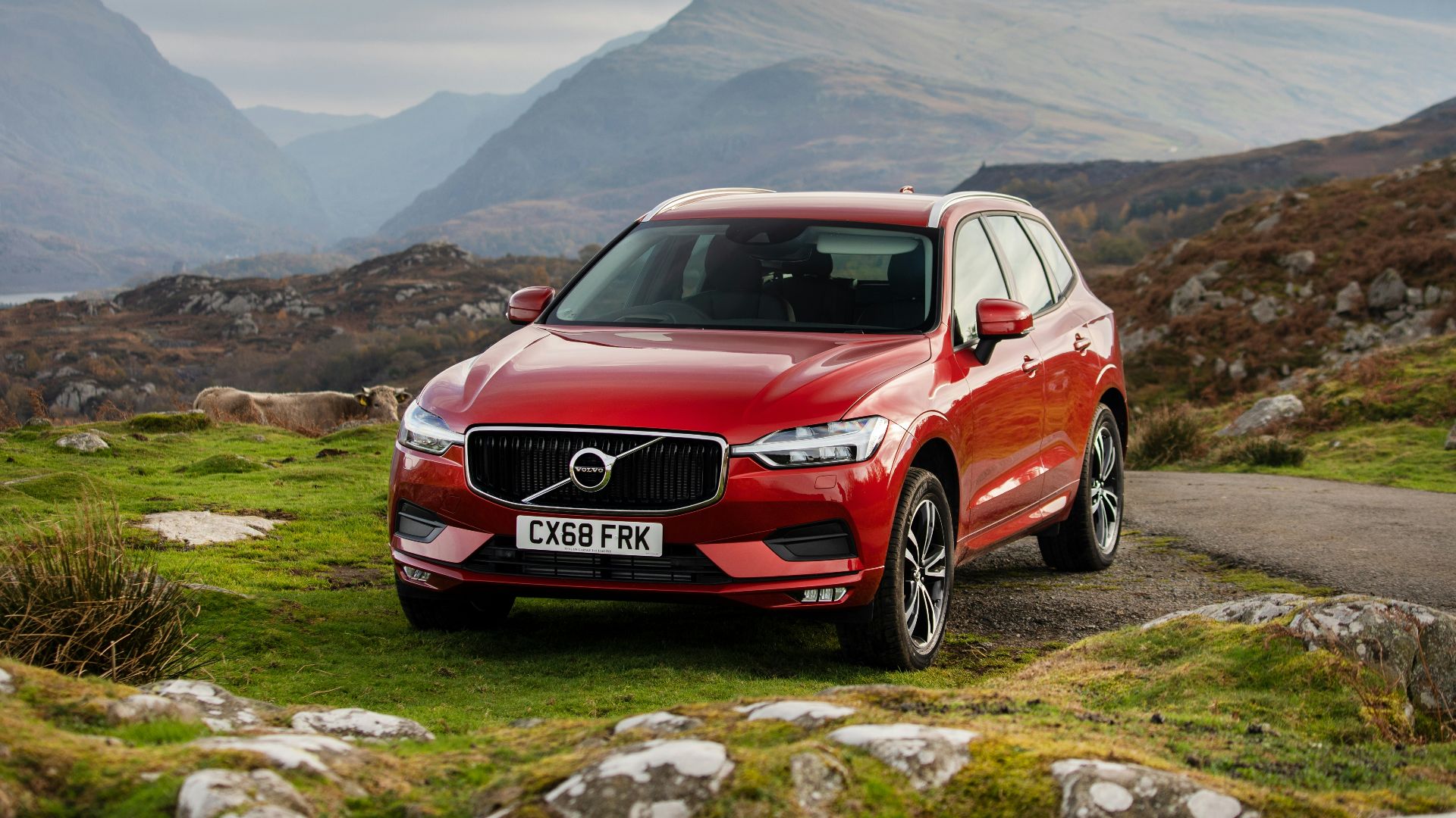 red Volvo SUV parking on green field