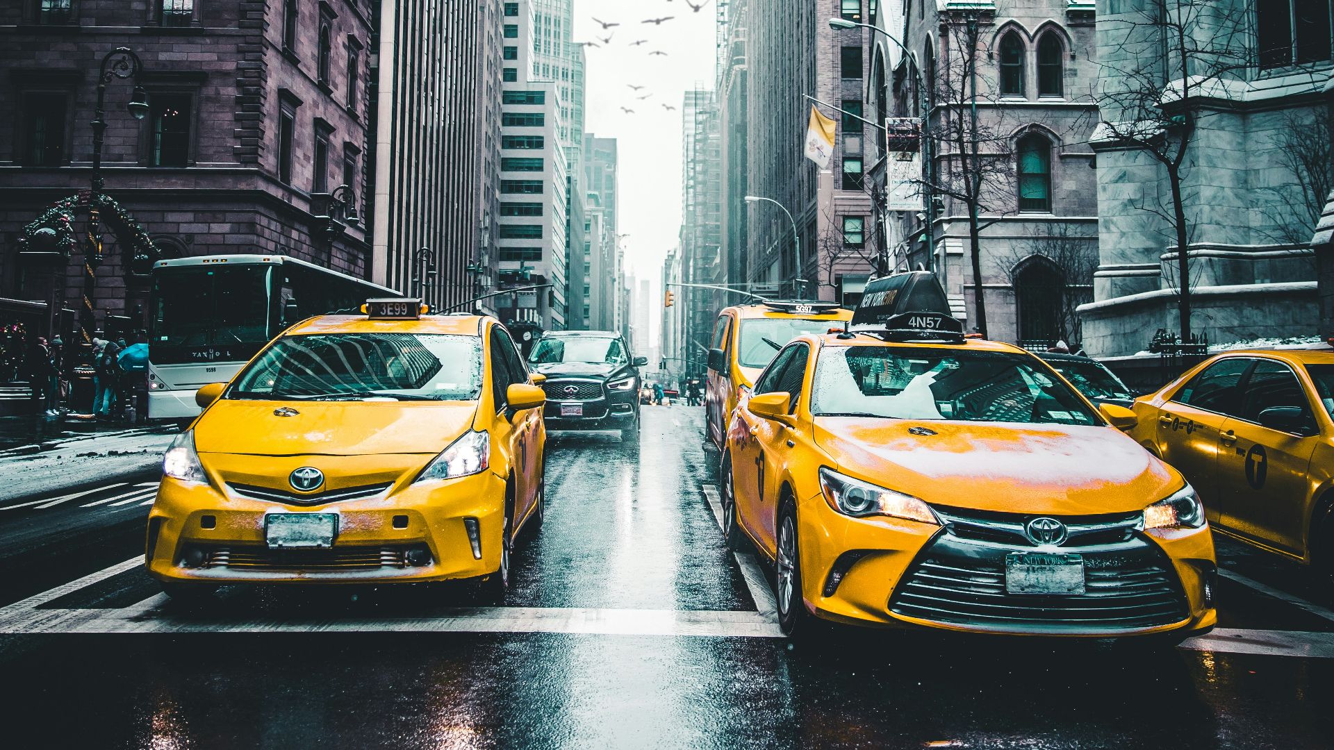 several car between of skycraper