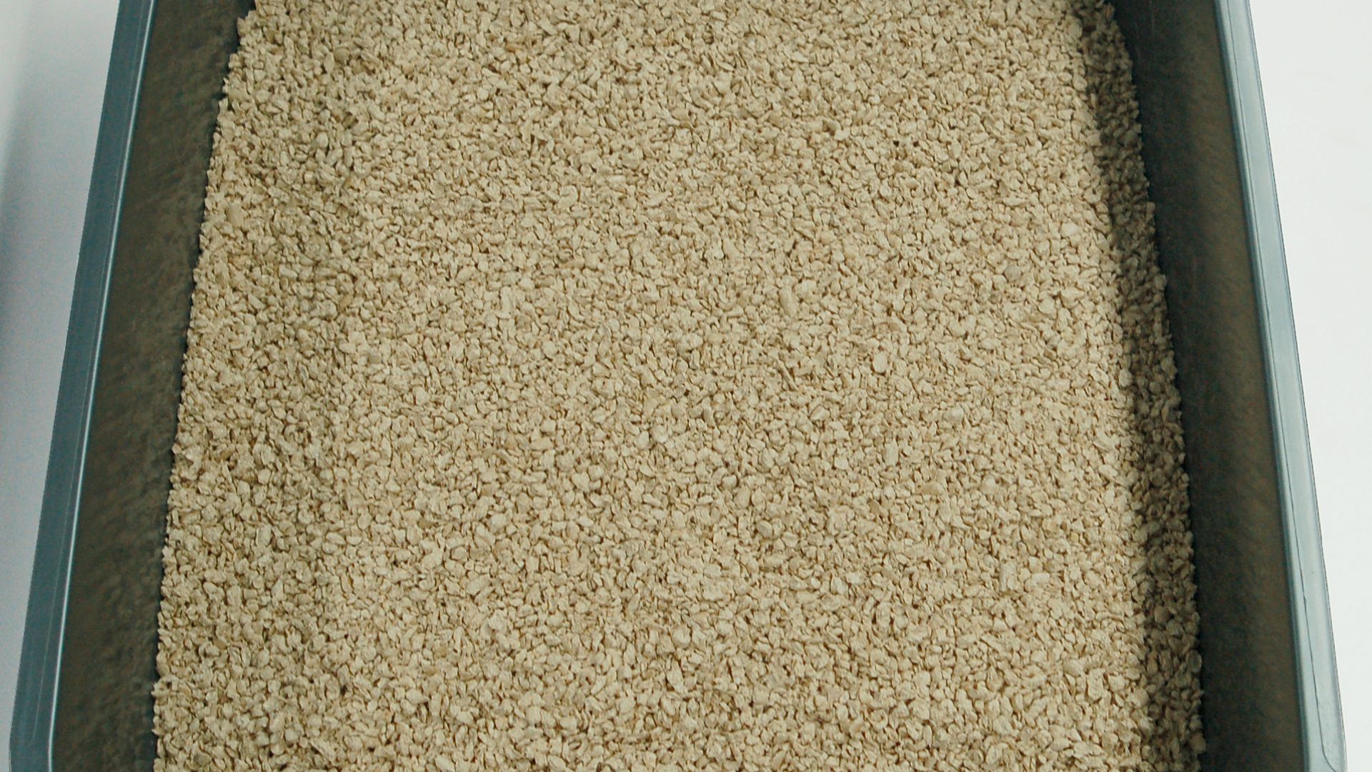 File:Katzentoilette mit pflanzlicher Katzenstreu.JPG