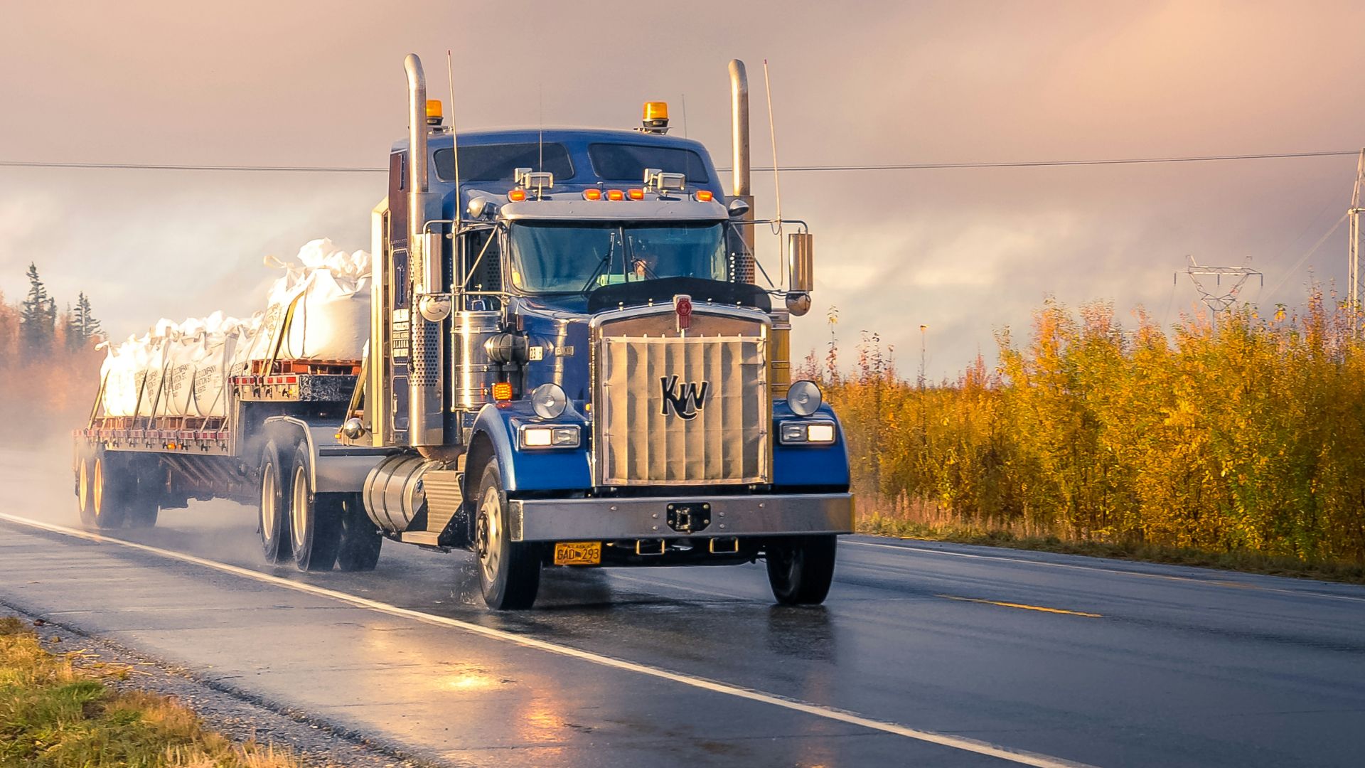 white and blue truck on road during daytime