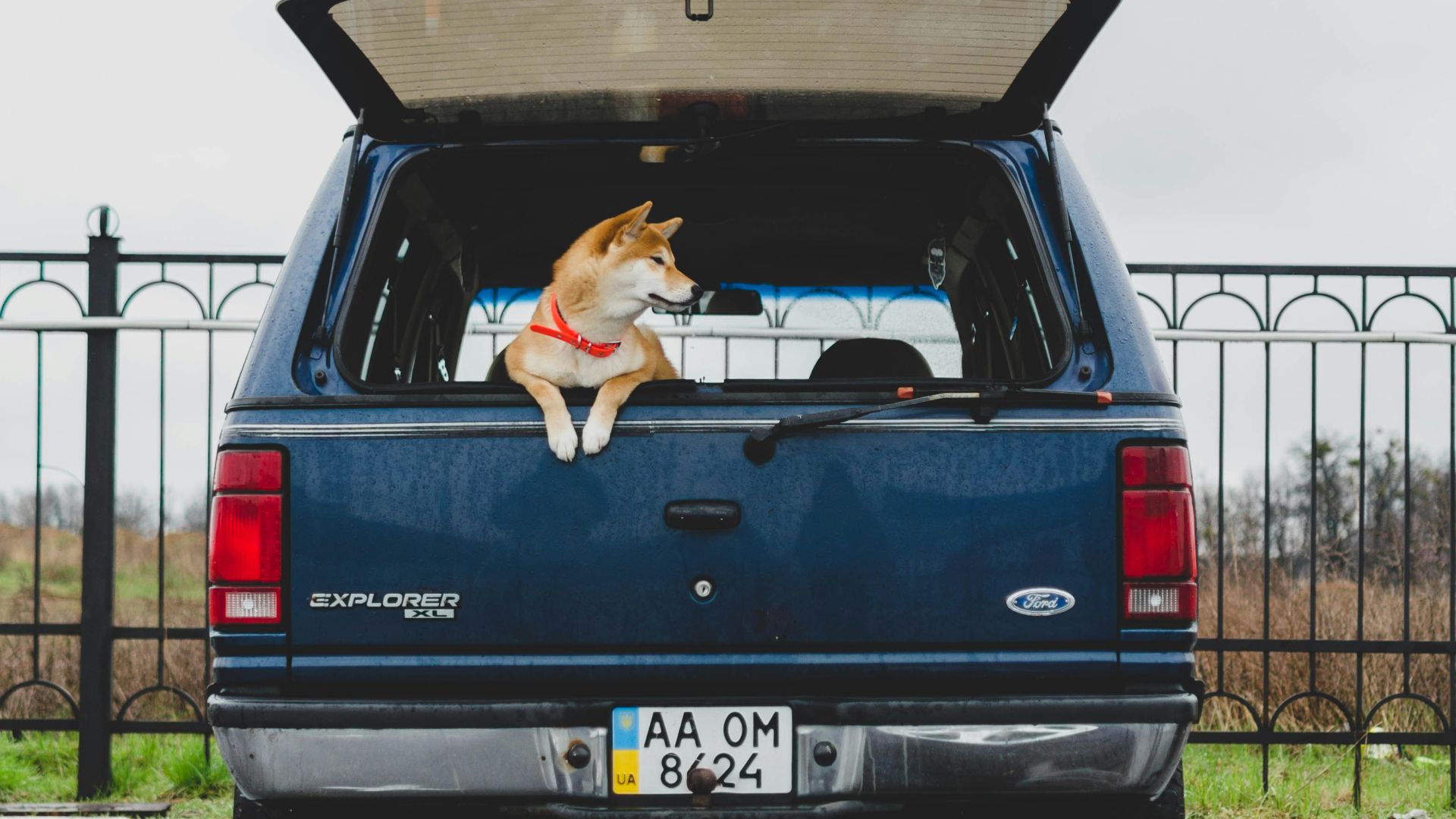 blue chevrolet car on road during daytime
