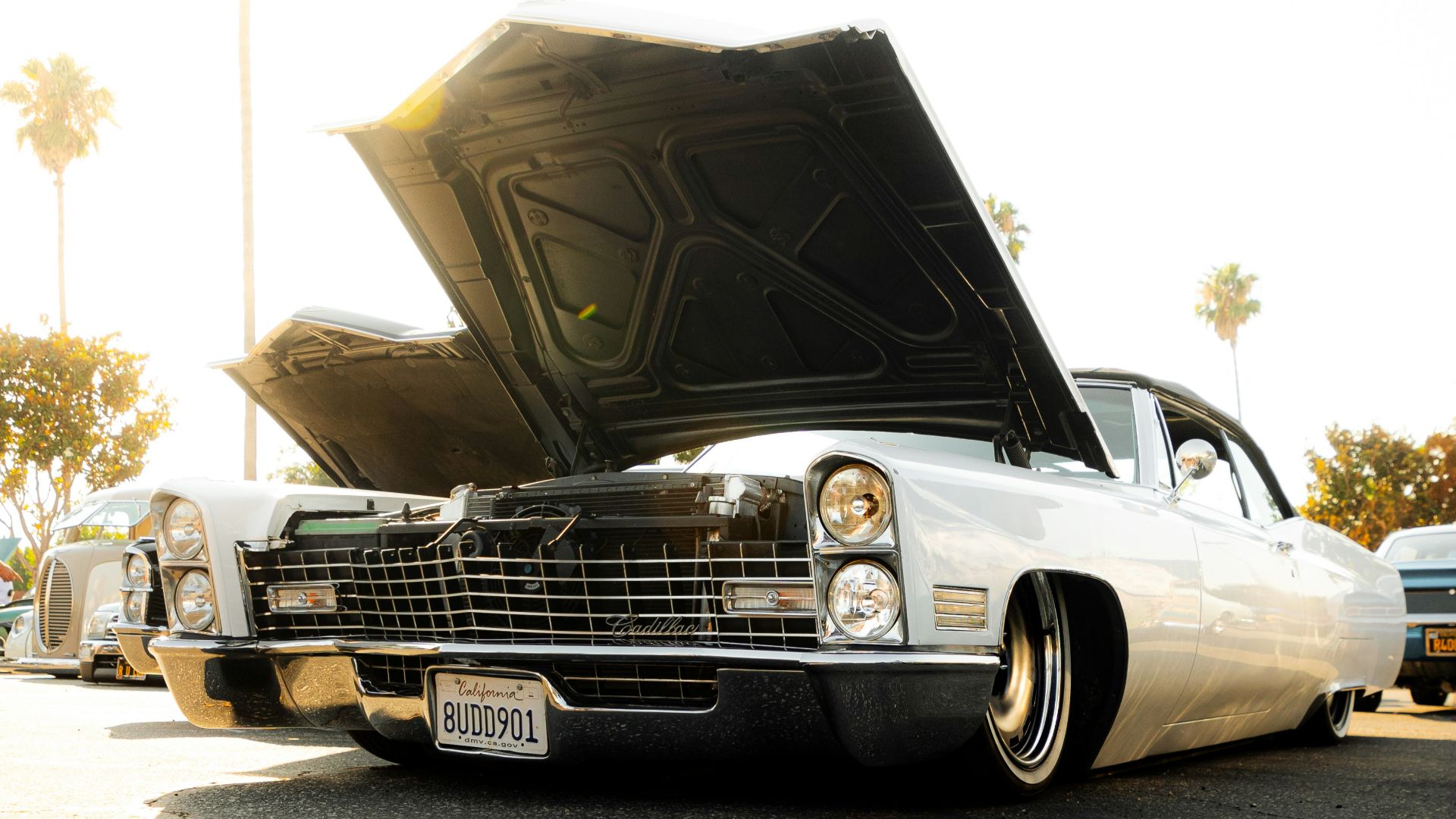 A white car with a hood open parked in a parking lot