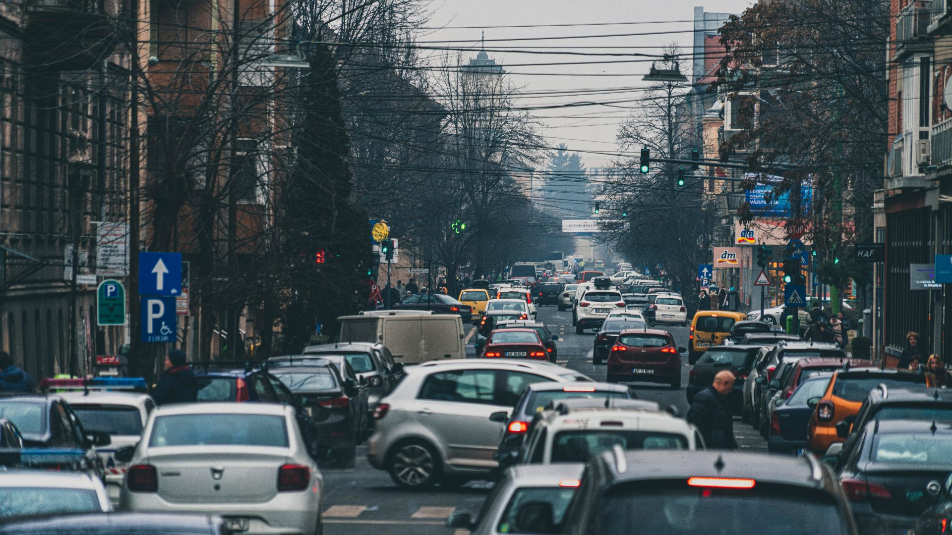 cars on road near buildings during daytime