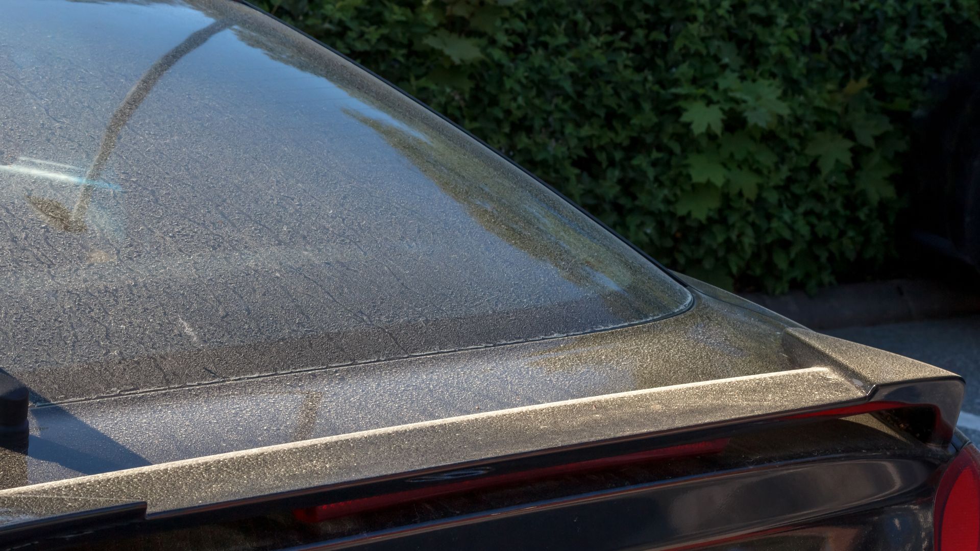 File:Pine pollen on a car in Tuntorp.jpg
