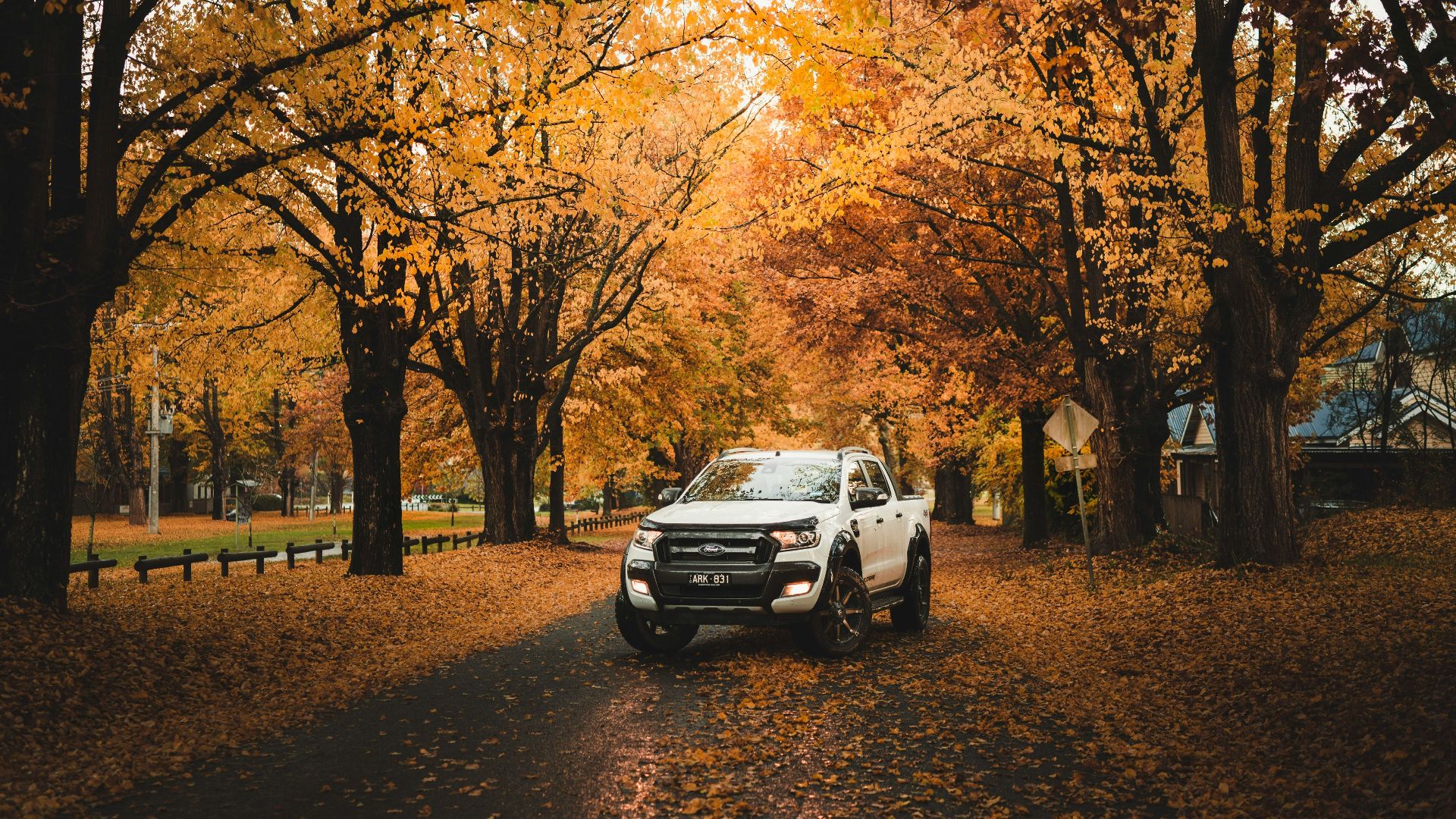 white crew cab pickup truck