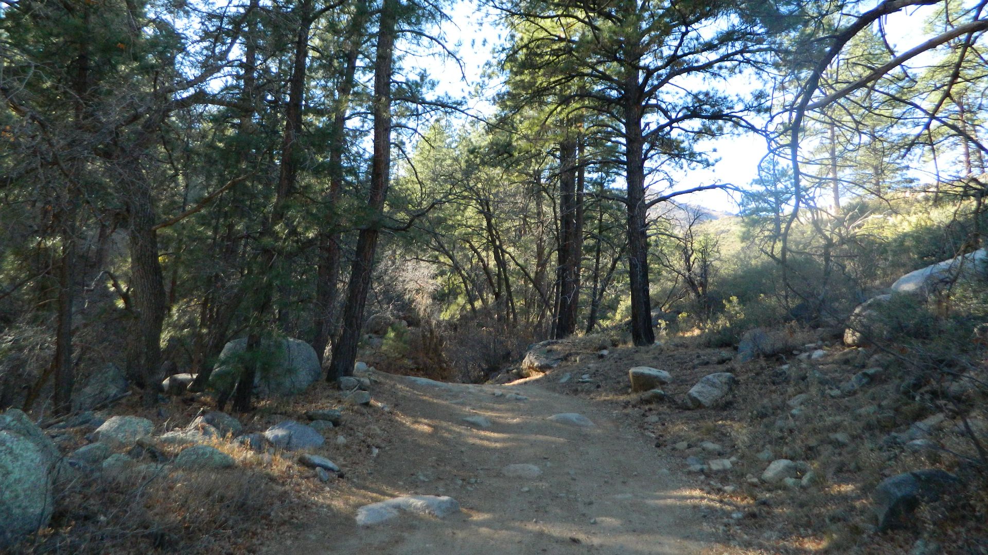 File:Arizona Peace Trail traverses the Hualapai Mountain range.jpg