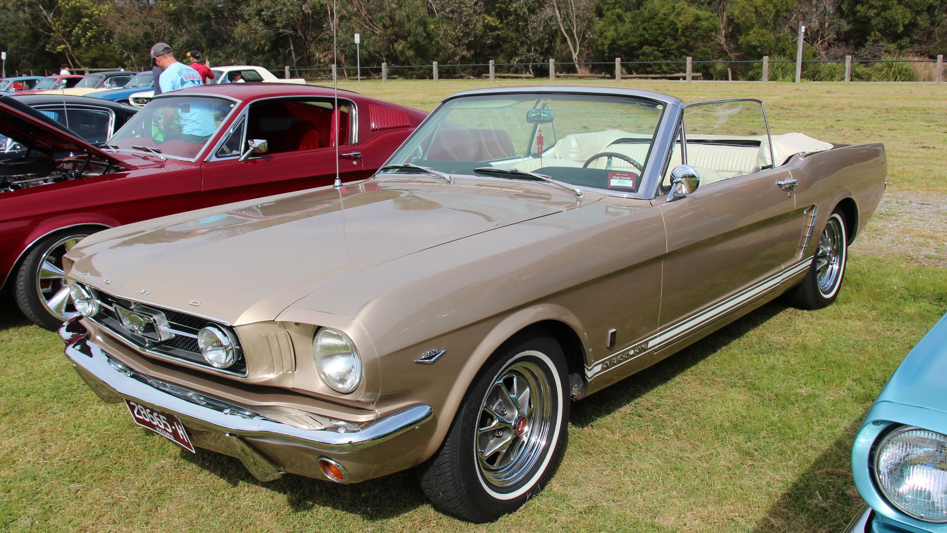 File:1965 Ford Mustang GT Convertible (14949047284).jpg