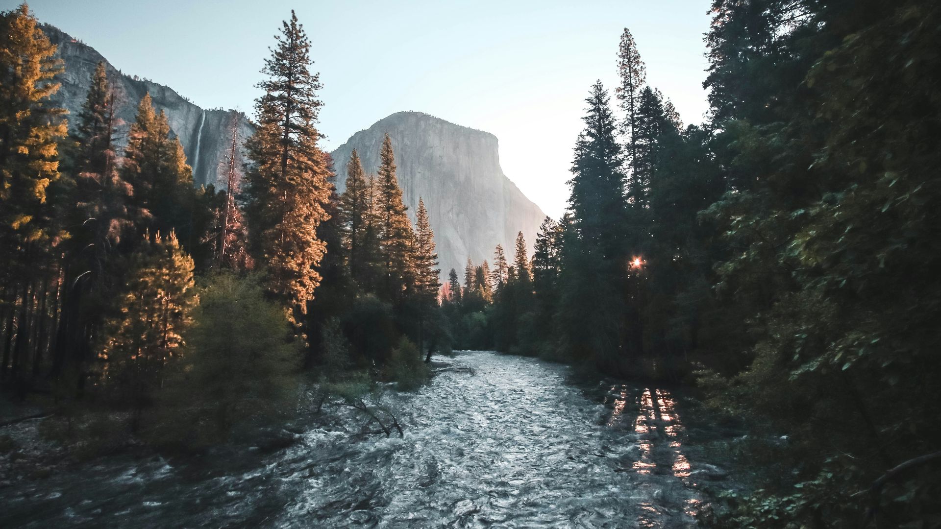water stream surrounded with green trees