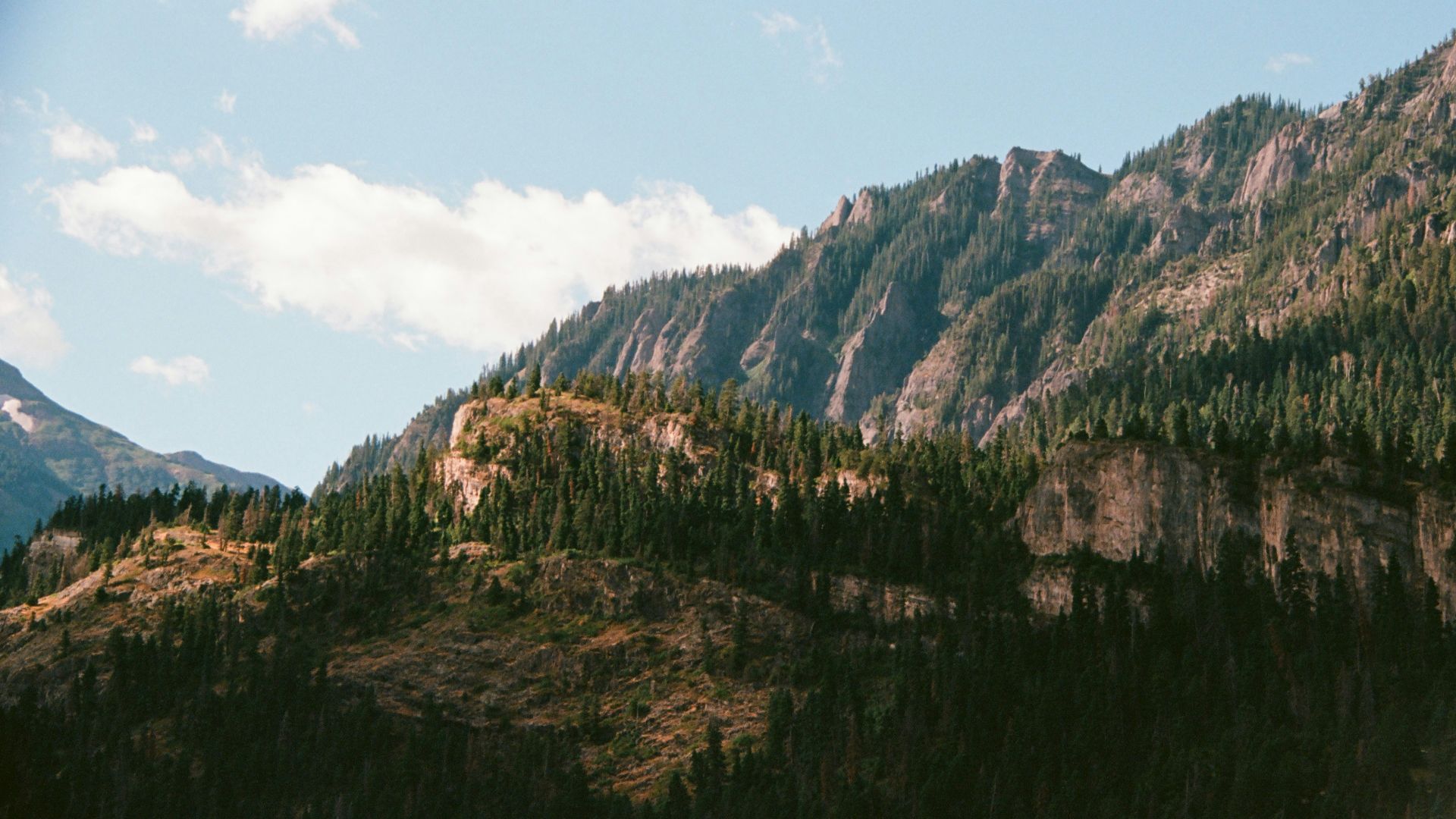 a view of a mountain with trees on the side of it