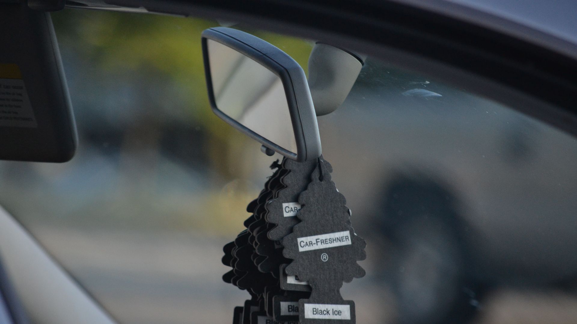 File:Black Little Trees car fresheners.jpg