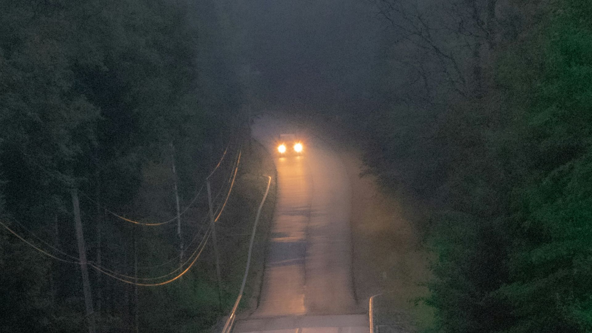 brown wooden pathway between green trees during daytime