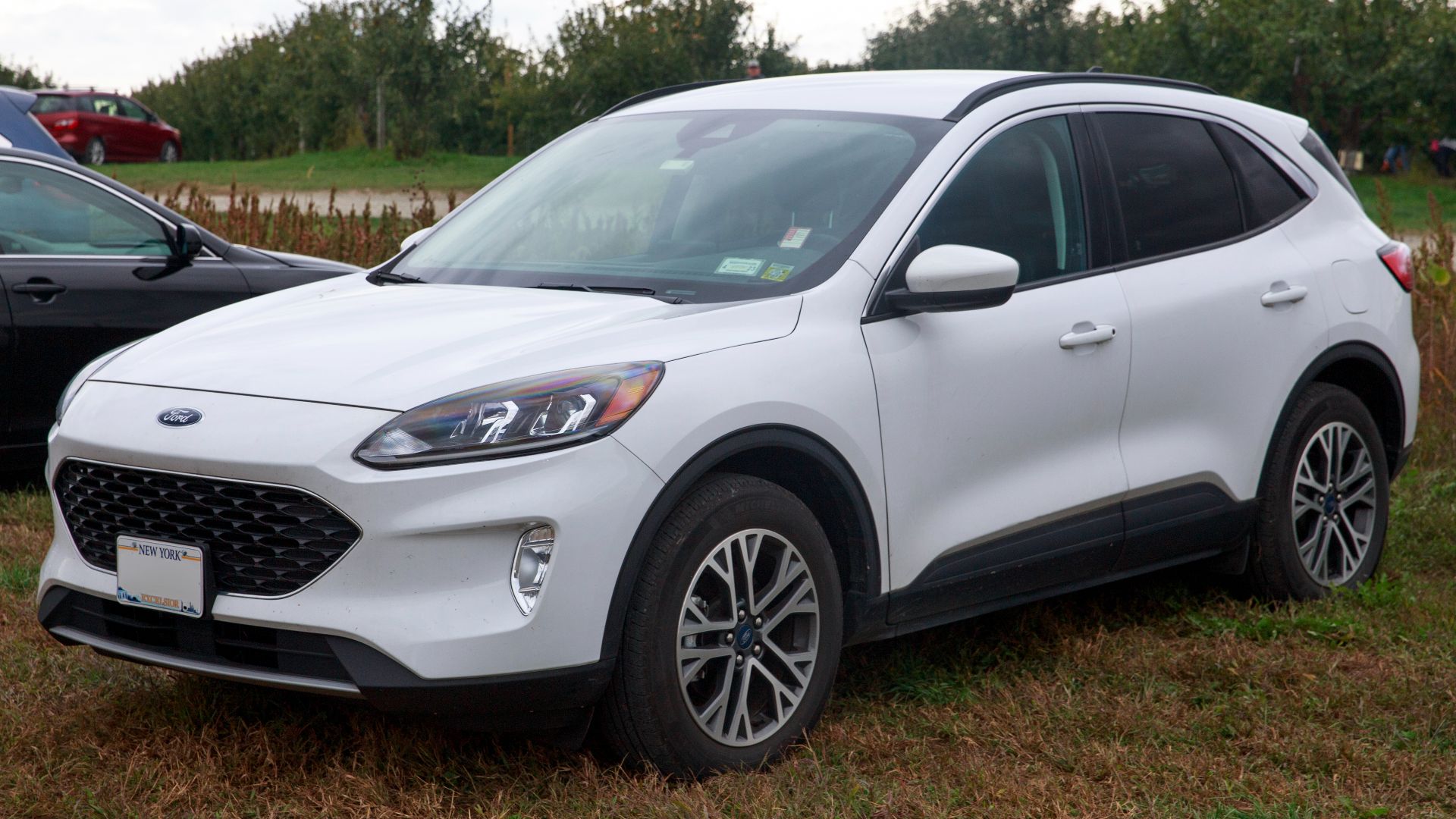 File:2021 Ford Escape Hybrid SEL AWD in Oxford White, front left.jpg
