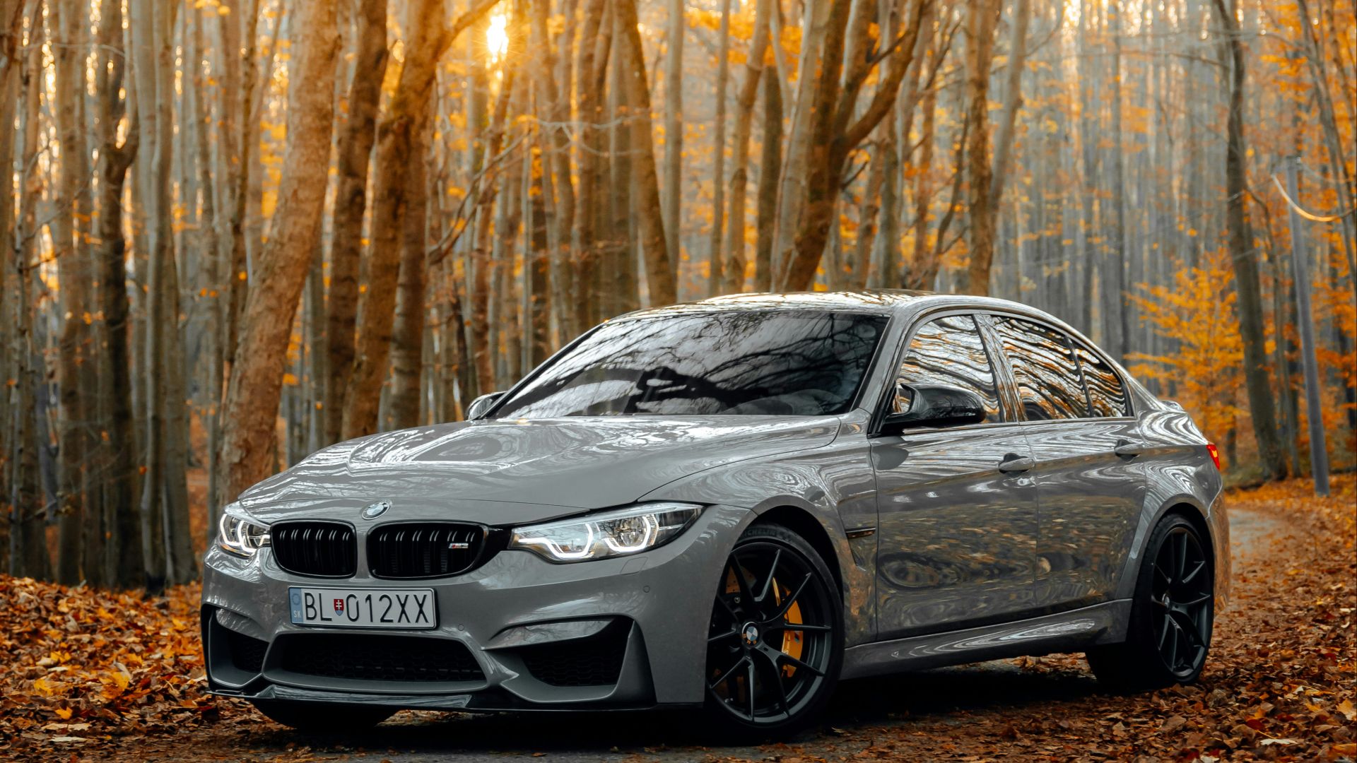 black bmw m 3 coupe parked on forest during daytime