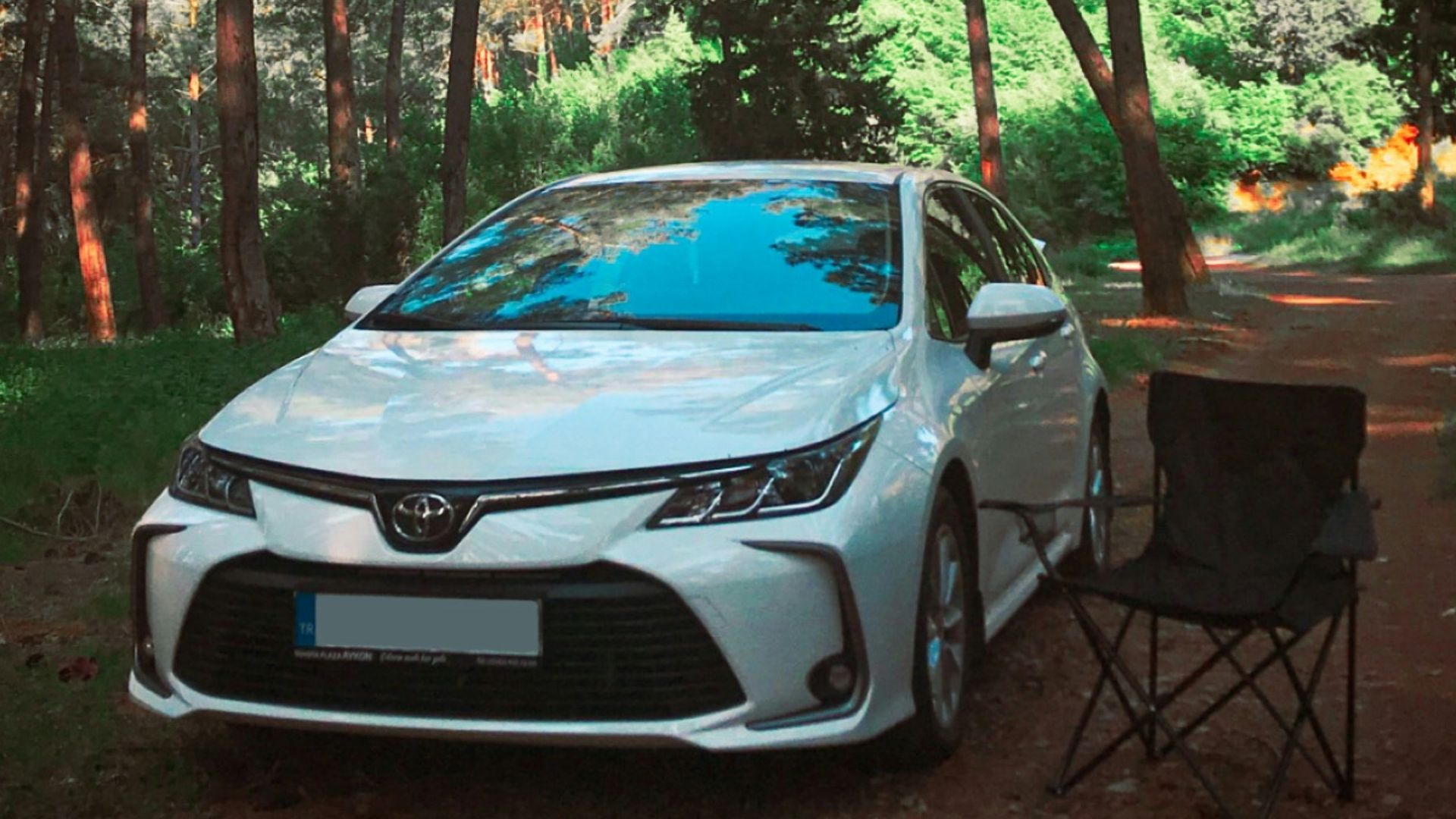 white bmw car parked near trees during daytime