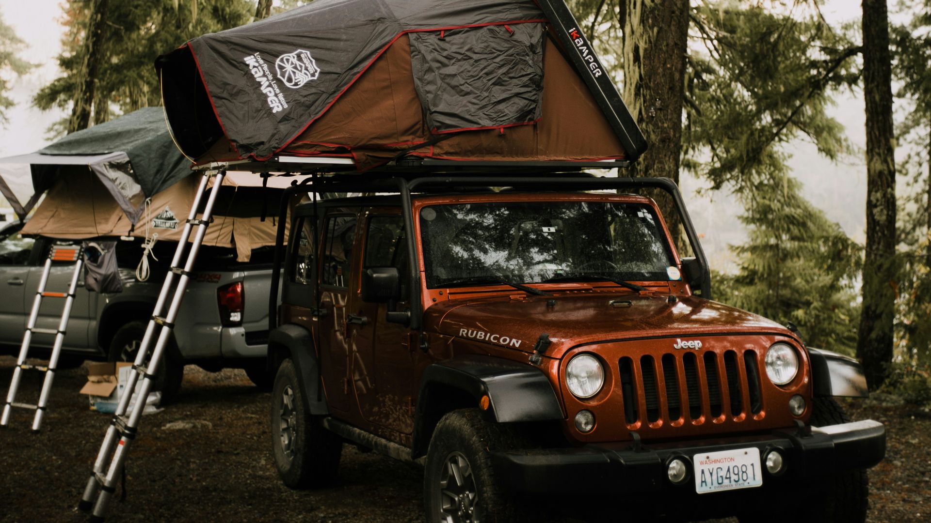 orange jeep wrangler parked near green trees during daytime