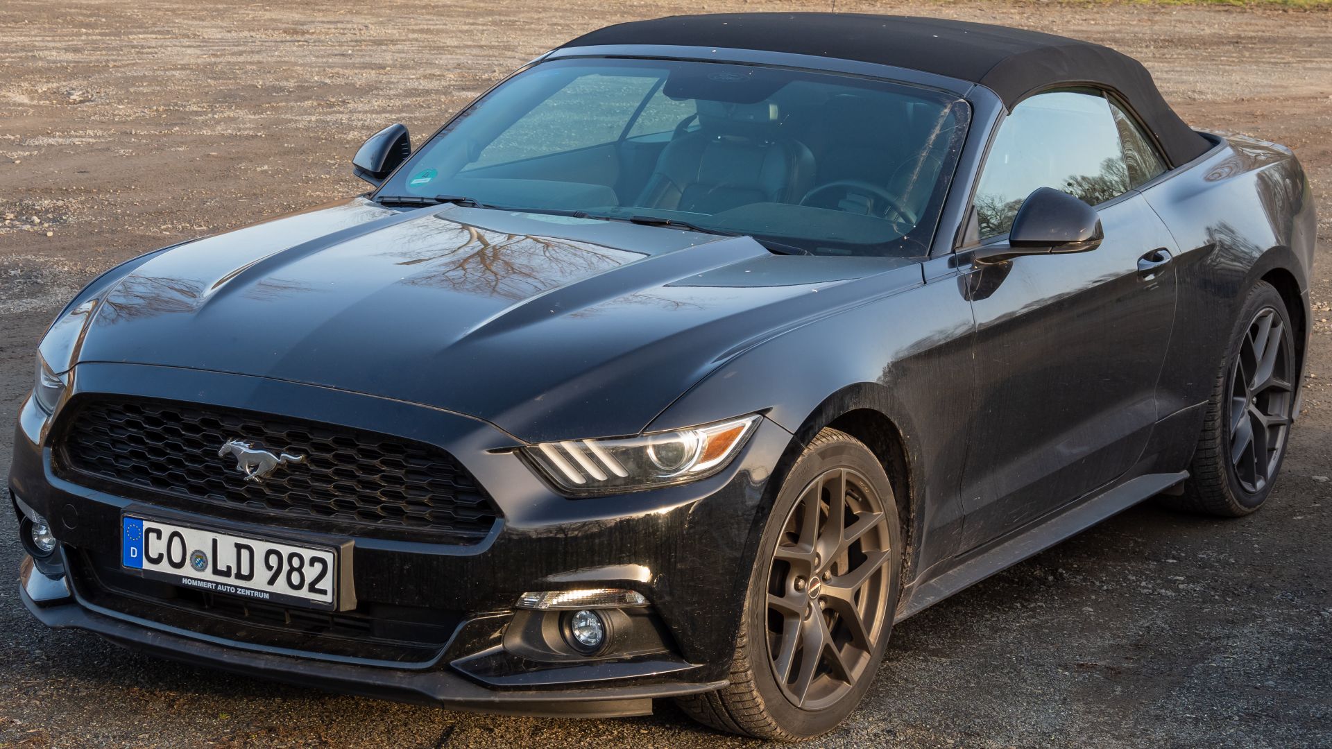 File:Ford GT Mustang-20210225-RM-170121.jpg