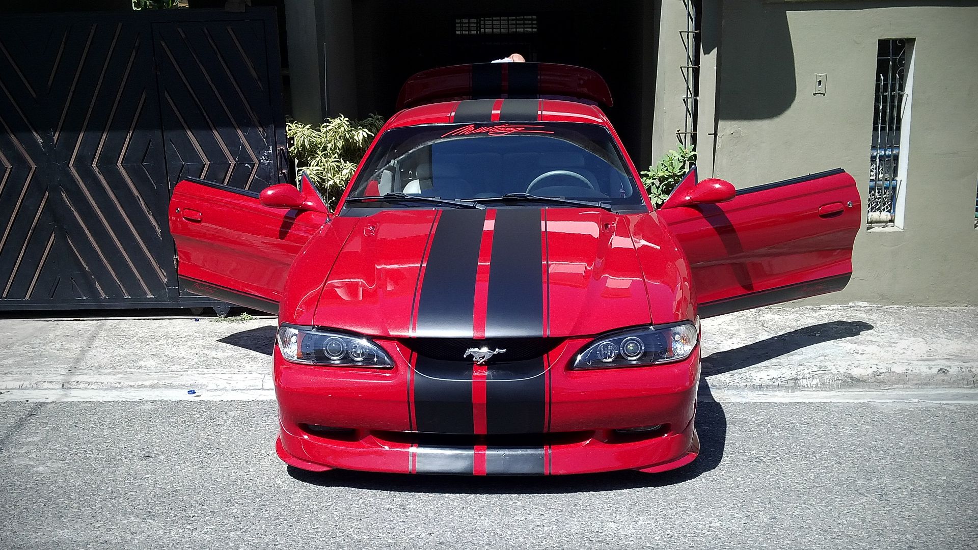 File:Mustang 98 Red.jpg