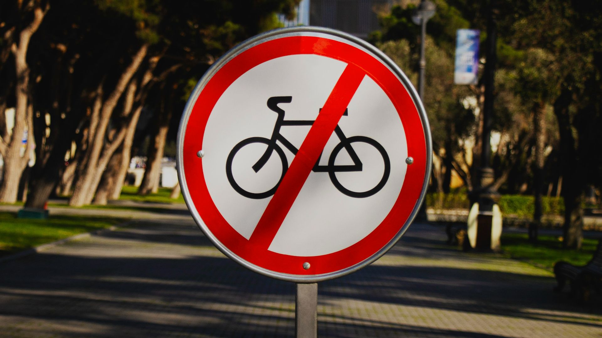 a no bicycle allowed sign on a city street