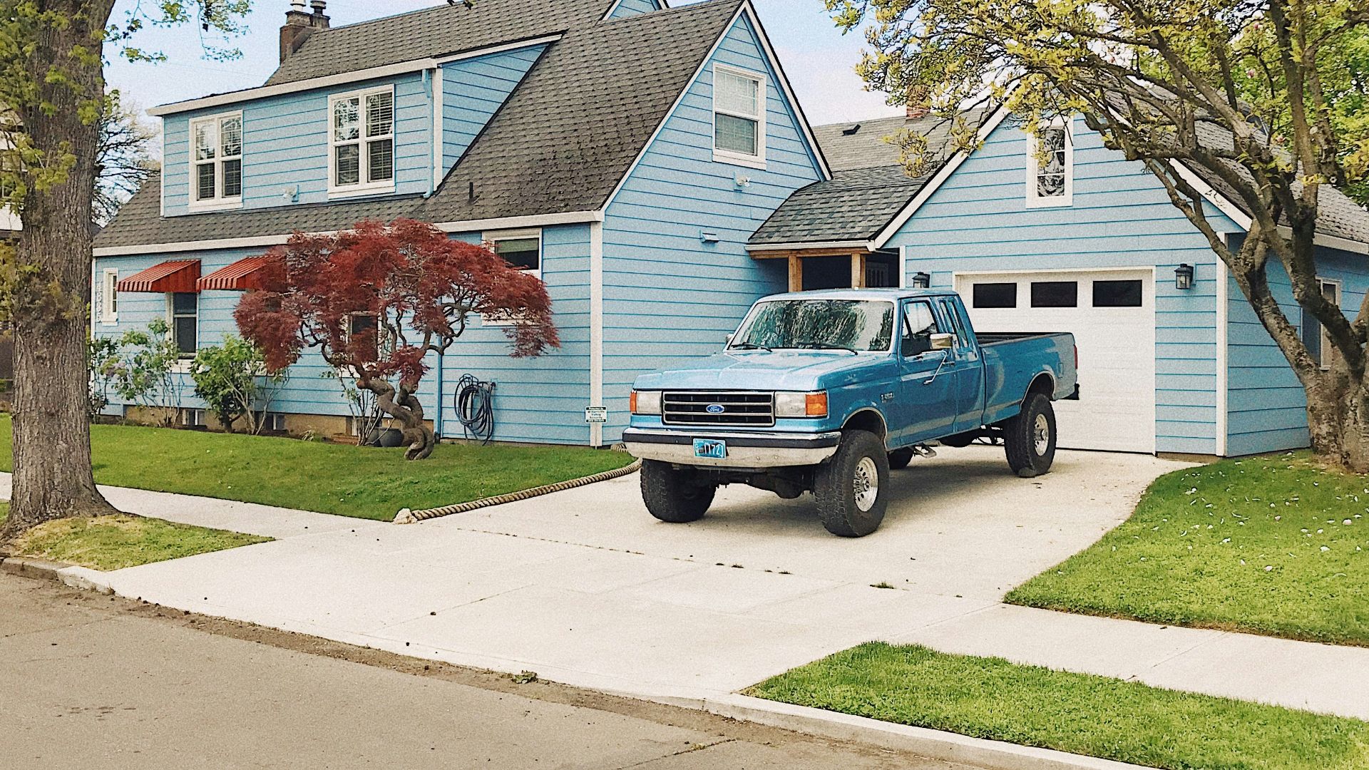 blue and white single cab pickup truck parked near green tree during daytime