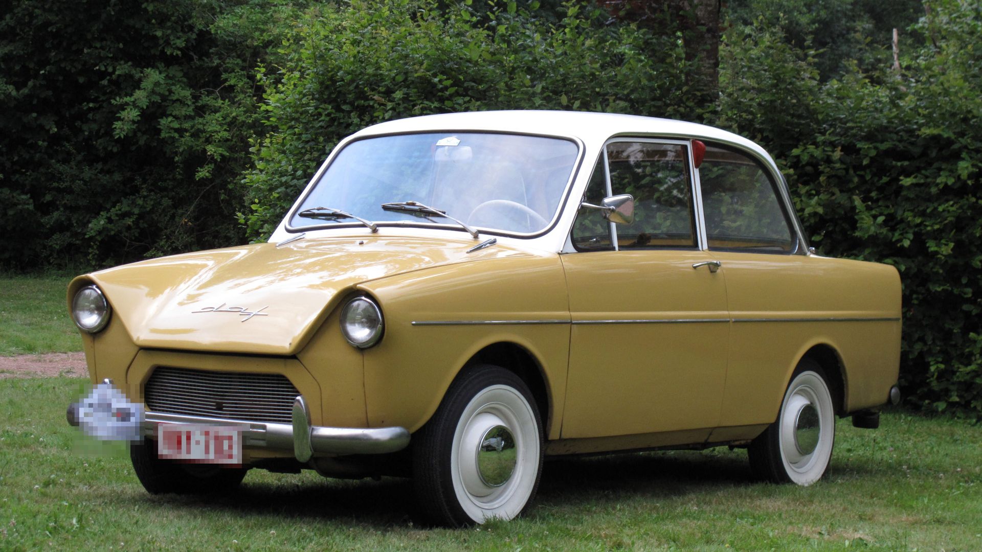 File:DAF img 2284.jpg