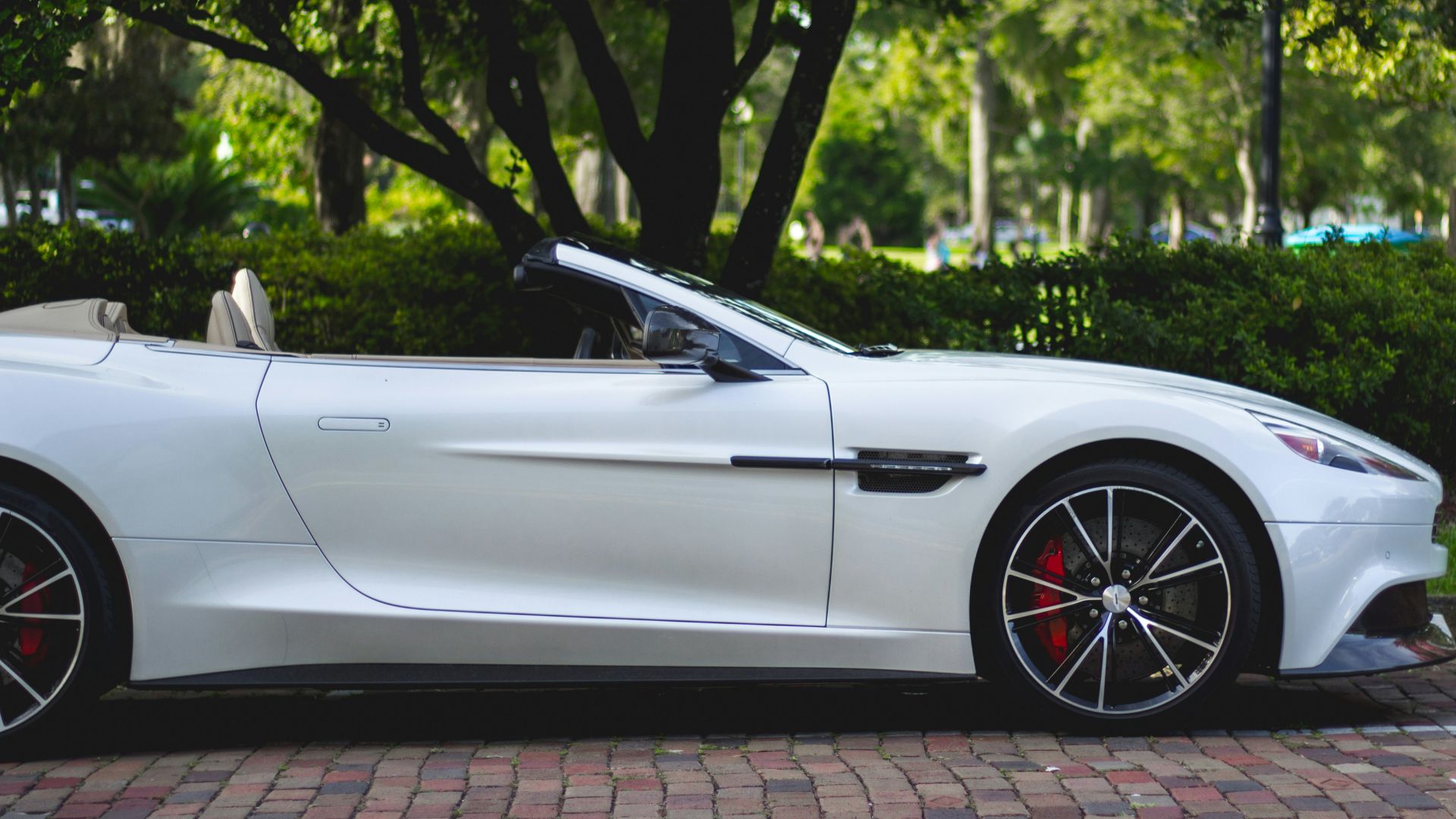 white Aston Martin convertible parked near trees